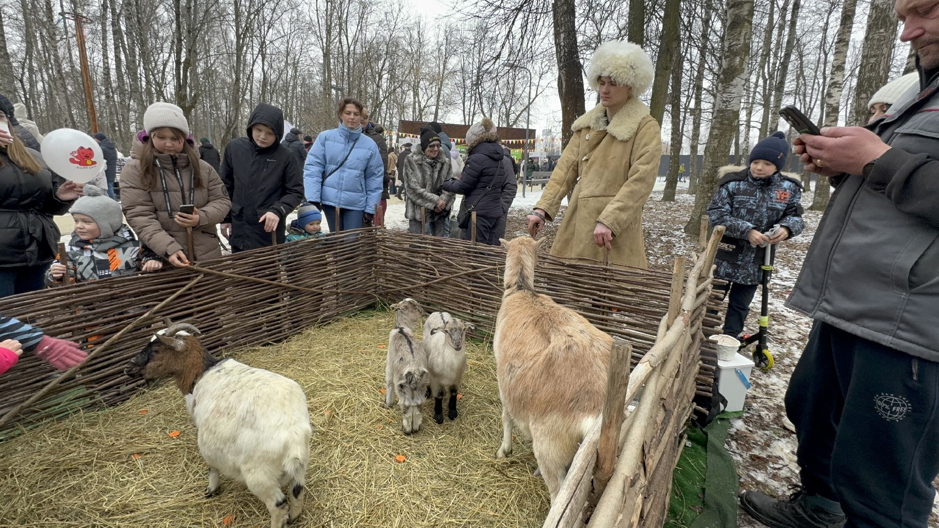 солнечногорск, масленица, праздник, жители, животные, вертикалки,