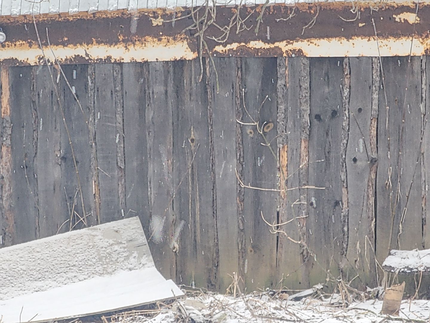 павловский посад, выездная администиация, благоустройство,