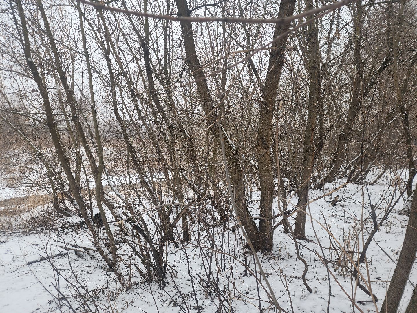 павловский посад, выездная администиация, благоустройство,