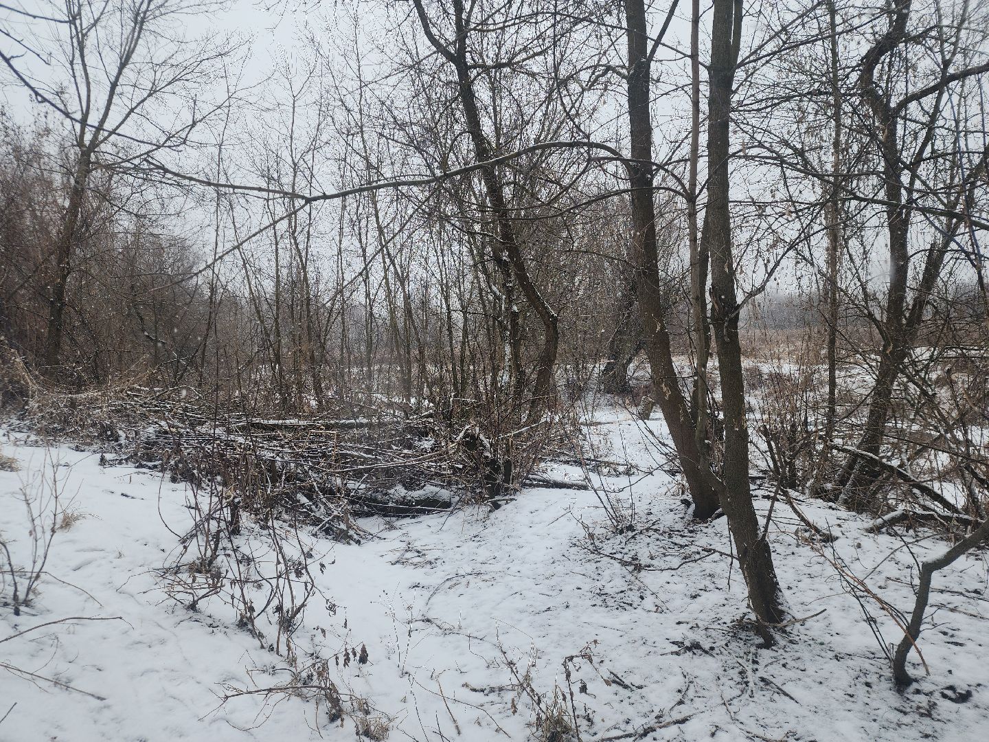 павловский посад, выездная администиация, благоустройство,