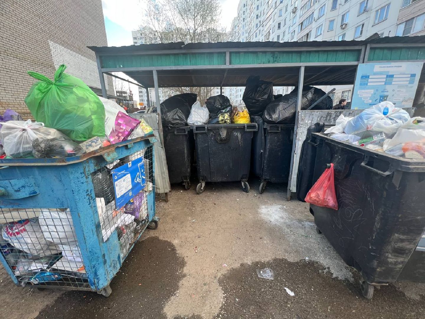 Солнечногорск, благоустройство, контейнеры, порядок, чистота