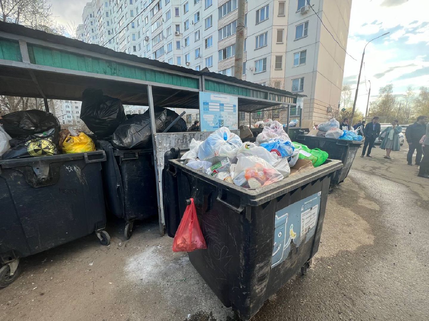 Солнечногорск, благоустройство, контейнеры, порядок, чистота