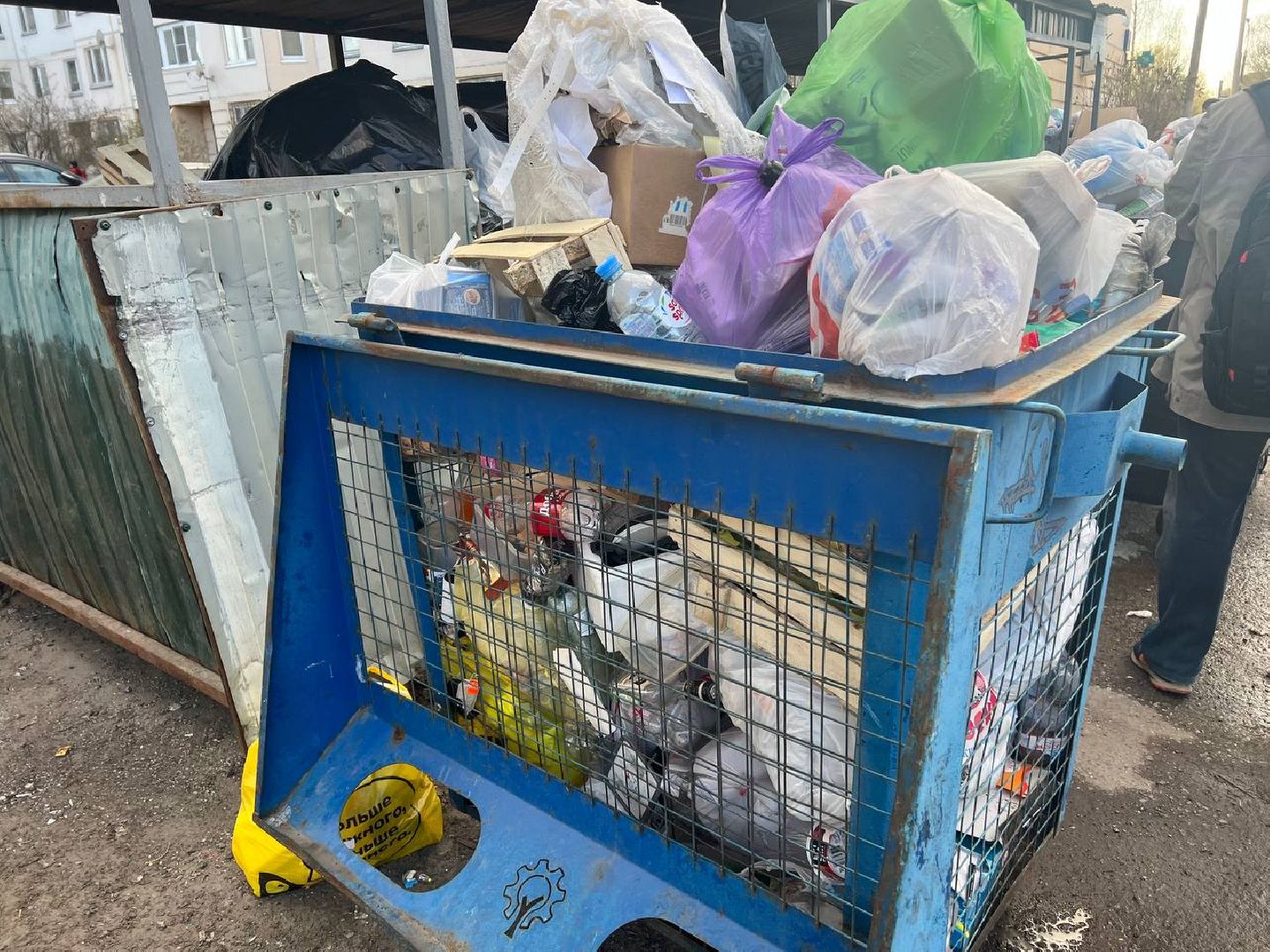 Солнечногорск, благоустройство, контейнеры, порядок, чистота