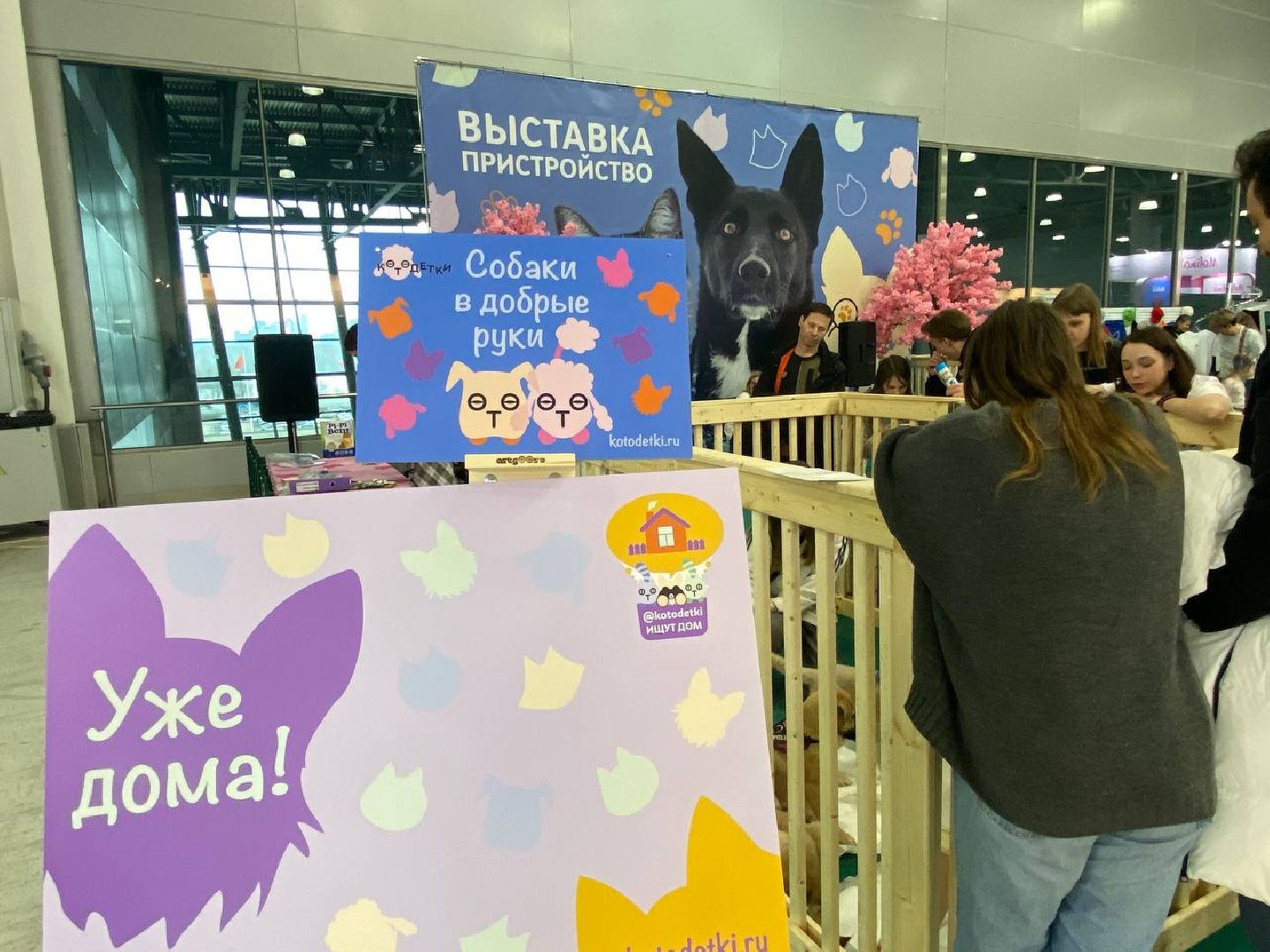 вертикалки, зоофестиваль, выставкаживотных, крокусэкспо, викторияписаренко,