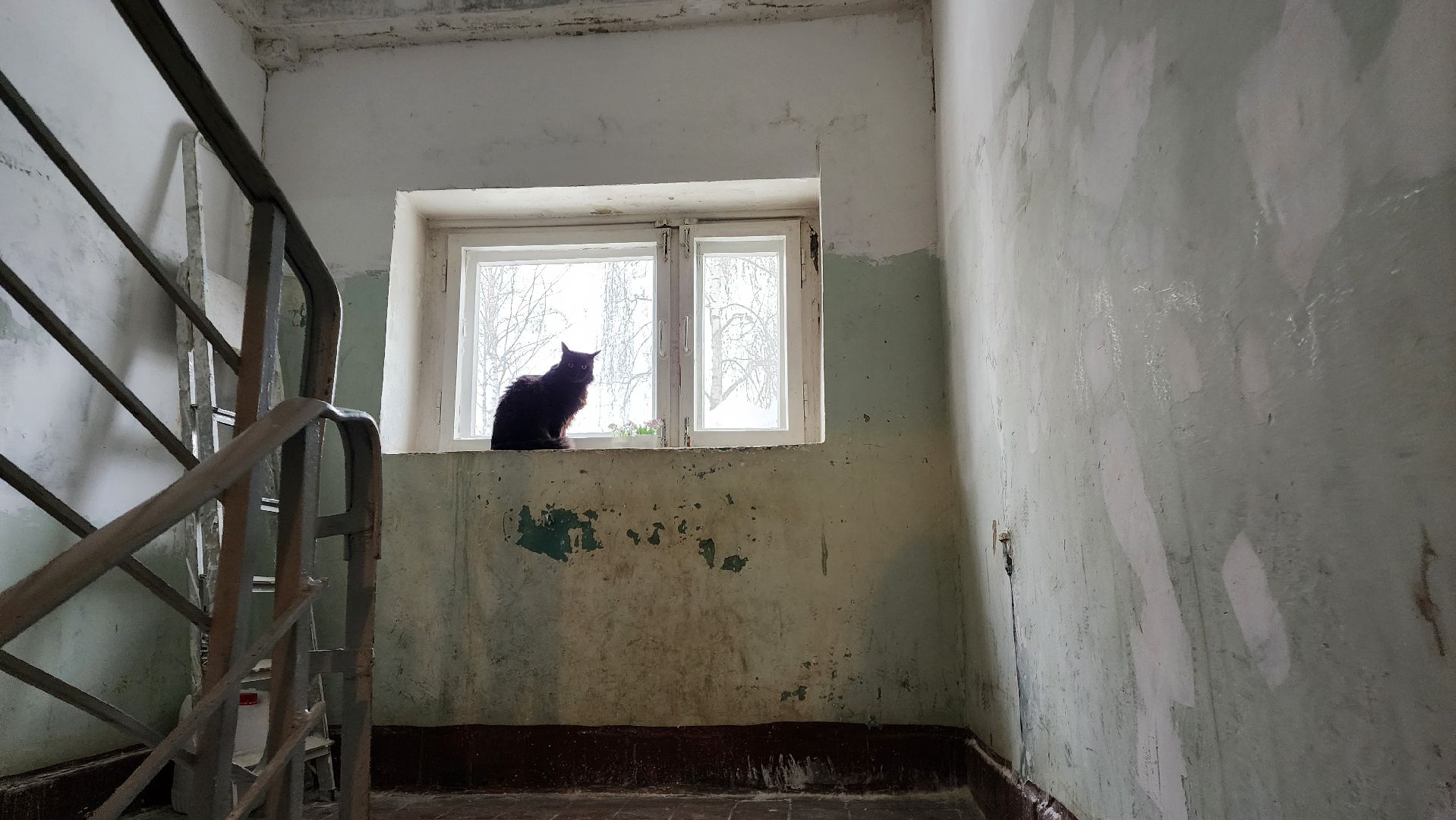 вертикалки, Бронницы, Косметический ремонт подъездов, Ремонт подъездов на Советской 113,