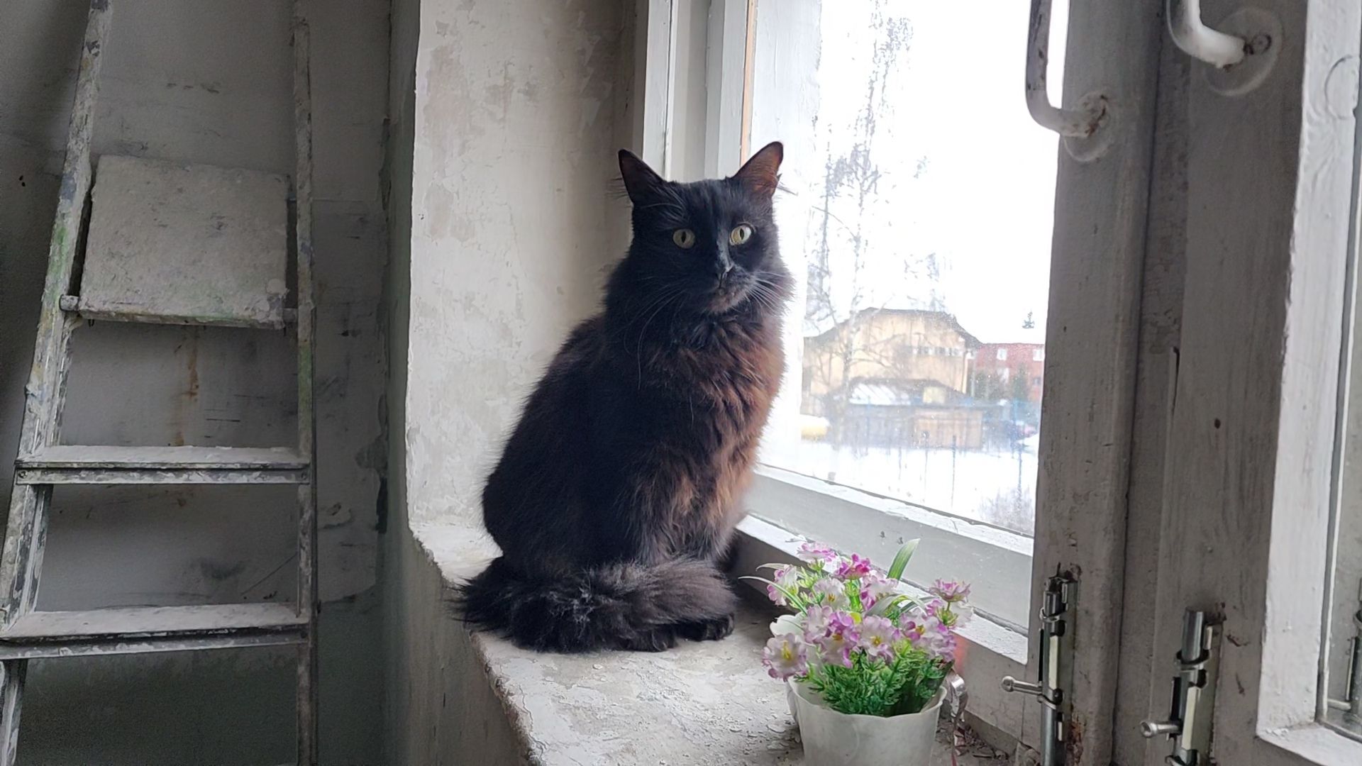 вертикалки, Бронницы, Косметический ремонт подъездов, Ремонт подъездов на Советской 113,