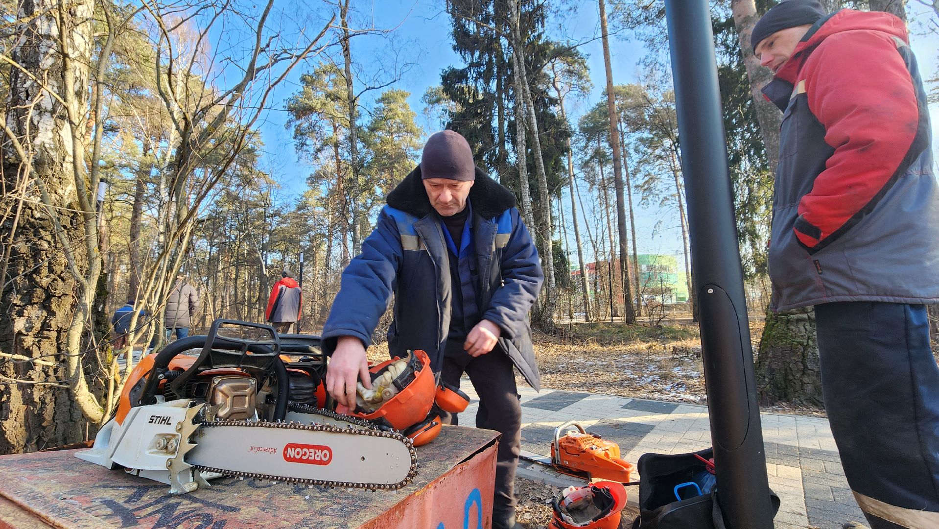 коммунальщики очищают лес, протвино, комбинат благоустройства, вертикалки,
