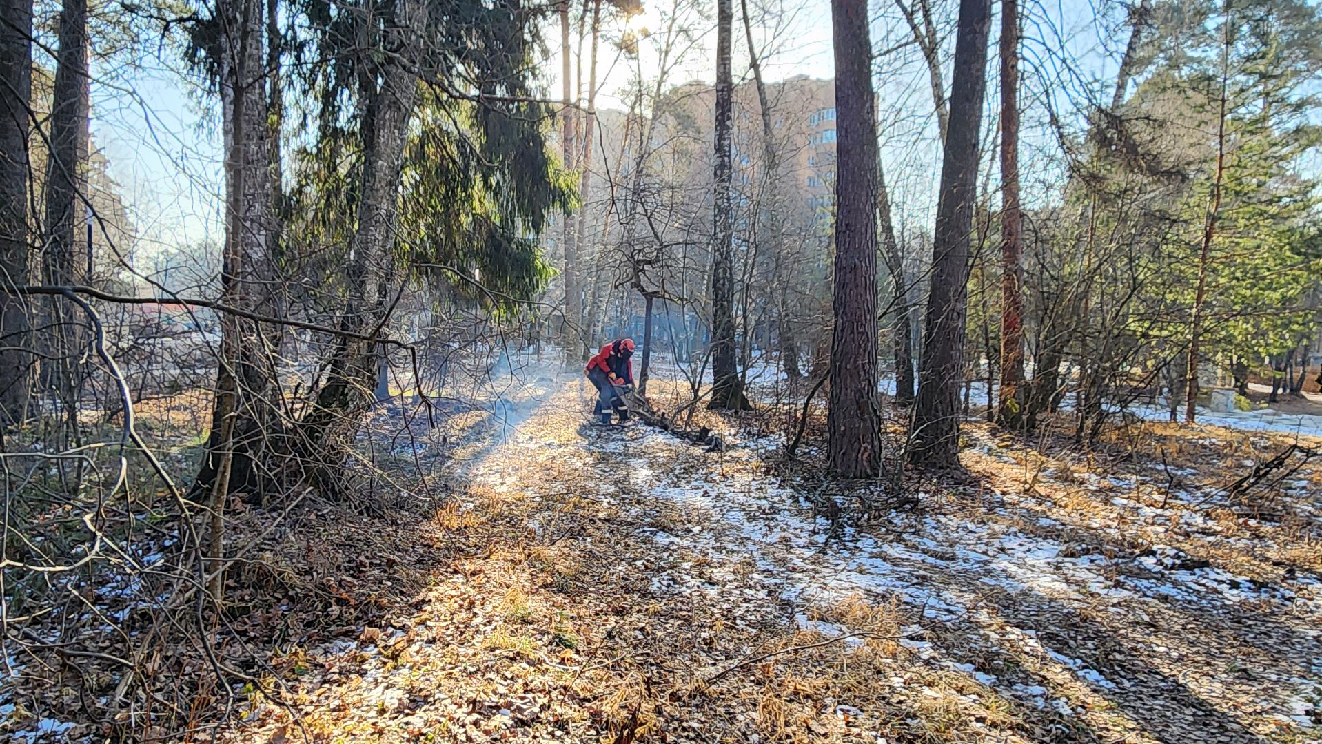 коммунальщики очищают лес, протвино, комбинат благоустройства, вертикалки,
