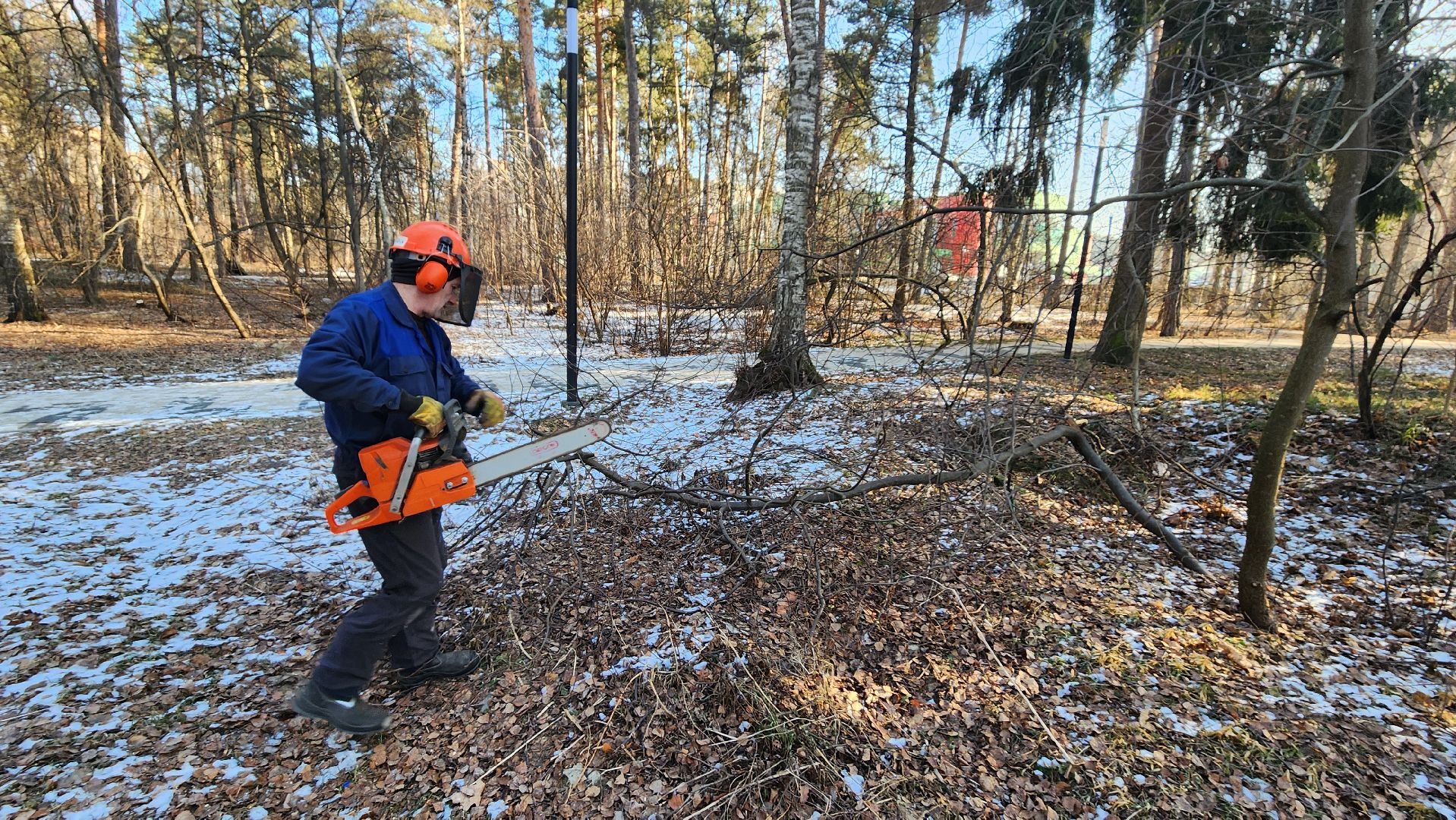 коммунальщики очищают лес, протвино, комбинат благоустройства, вертикалки,