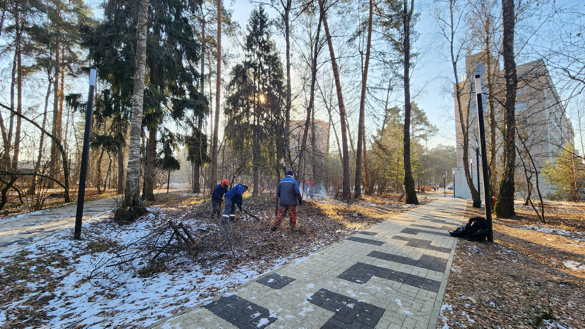 коммунальщики очищают лес, протвино, комбинат благоустройства, вертикалки,