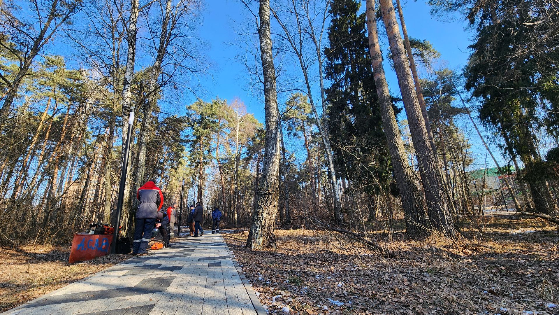 коммунальщики очищают лес, протвино, комбинат благоустройства, вертикалки,