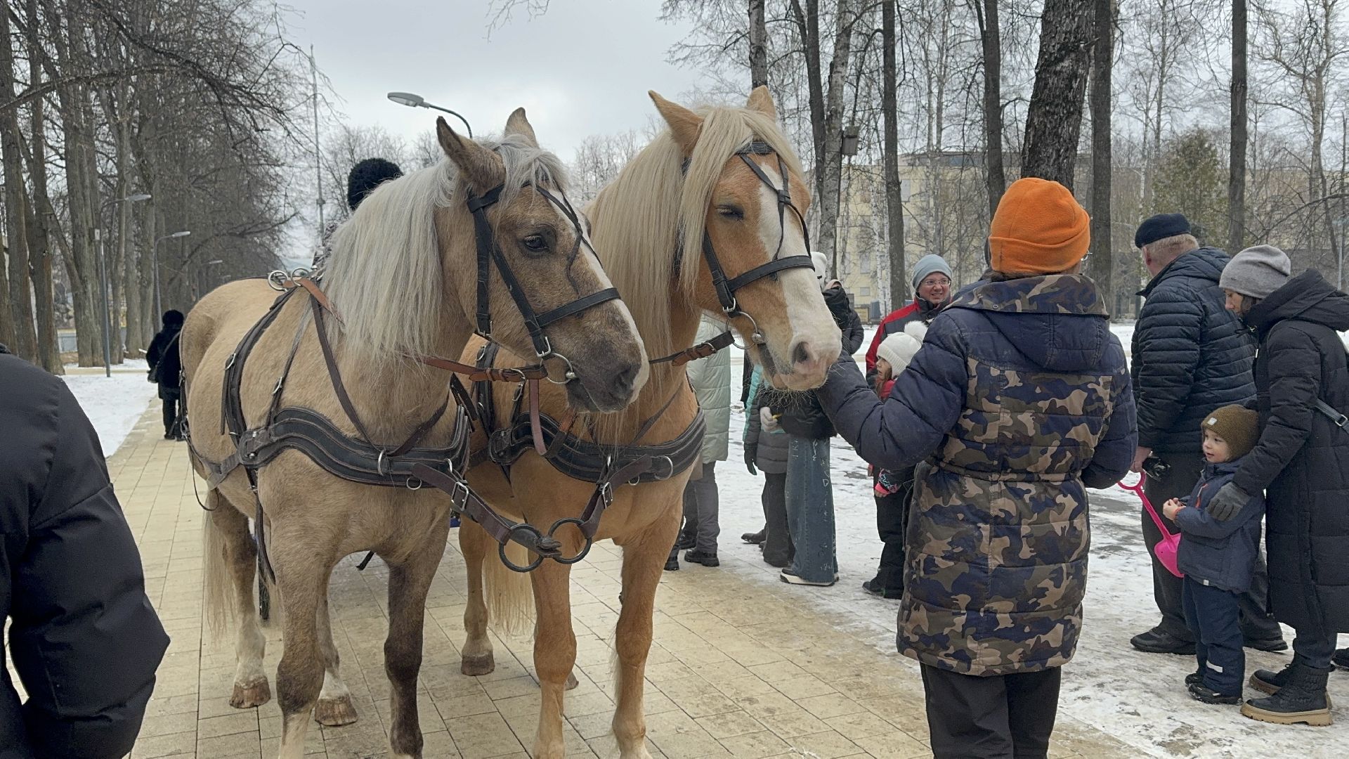 солнечногорск, масленица, жители, праздник, развлечения, вертикалки,
