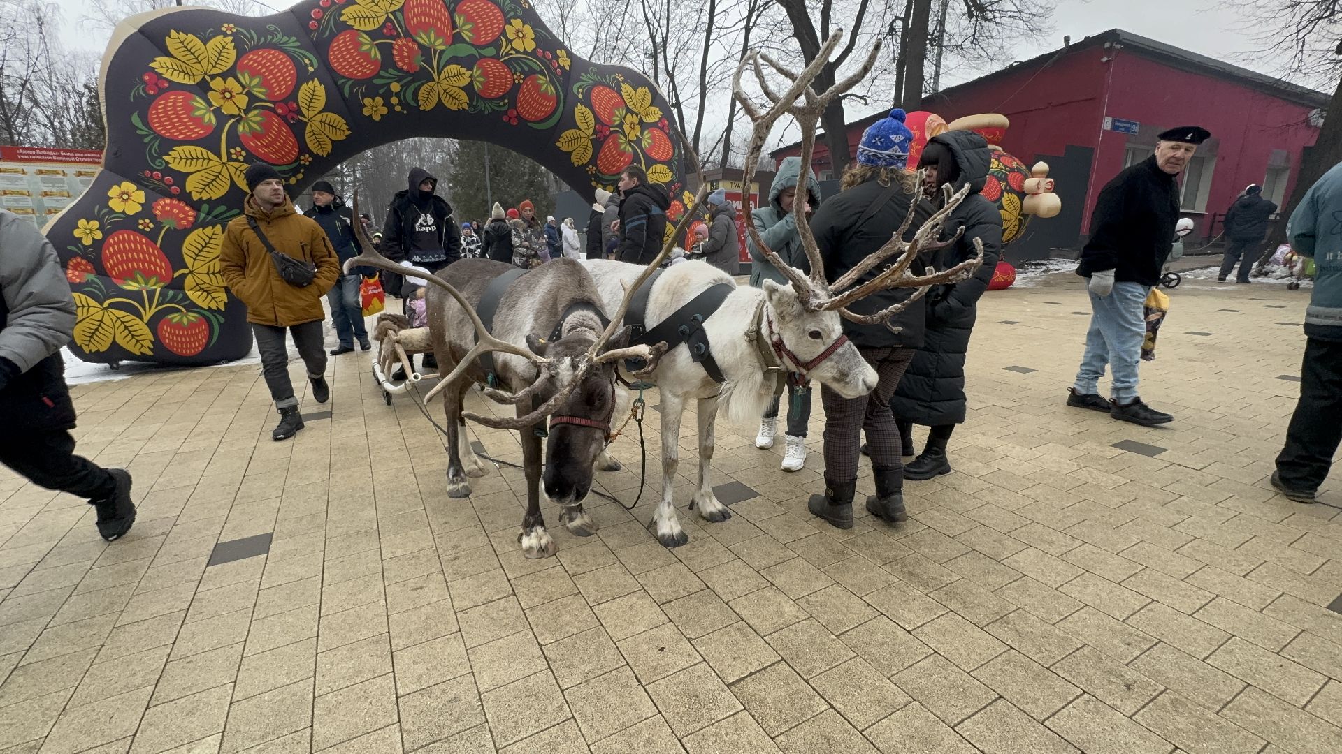 солнечногорск, масленица, жители, праздник, развлечения, вертикалки,