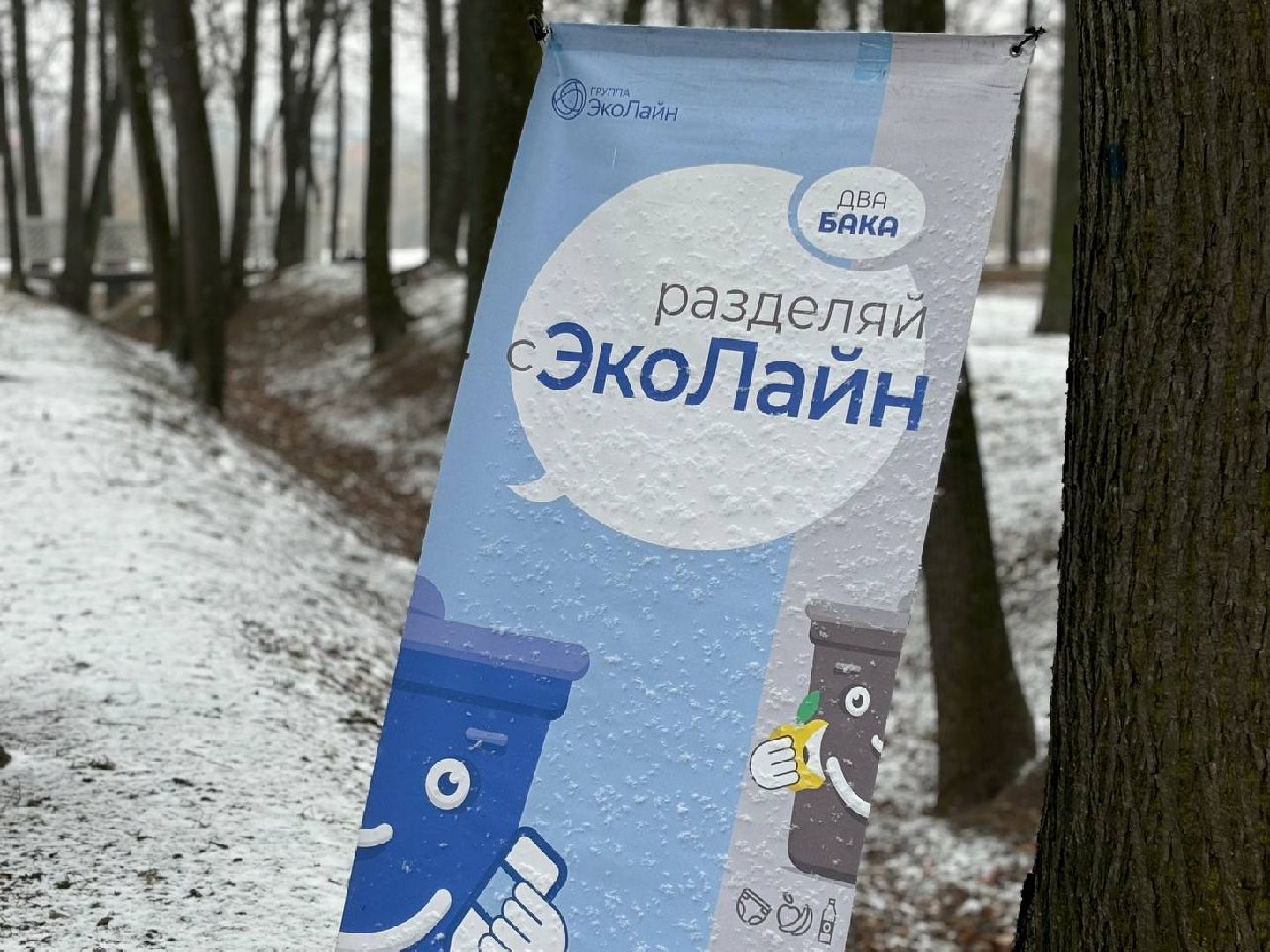 воскресенск, кривякино, масленица, эколайн,