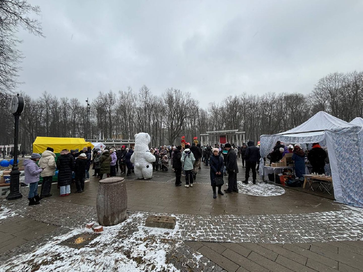 воскресенск, масленица, кривякино,