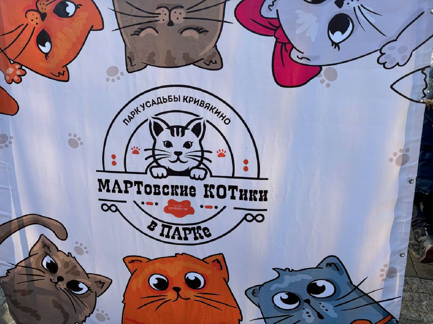 воскресенск, кошки, кривякино,