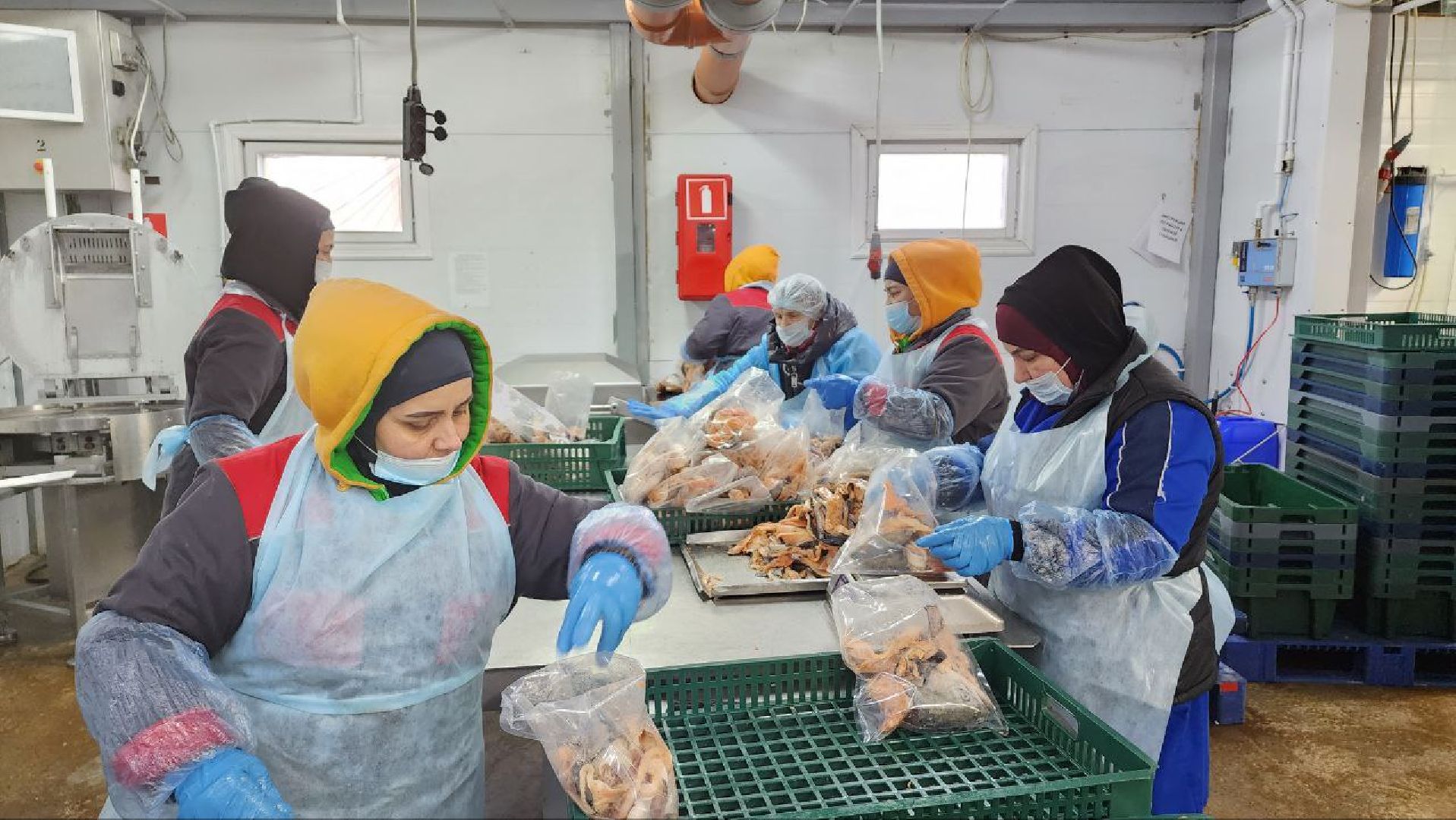 Дмитров, Фуд Тим, Мининвест, Фонд поддержки внешнеэкономической деятельности,