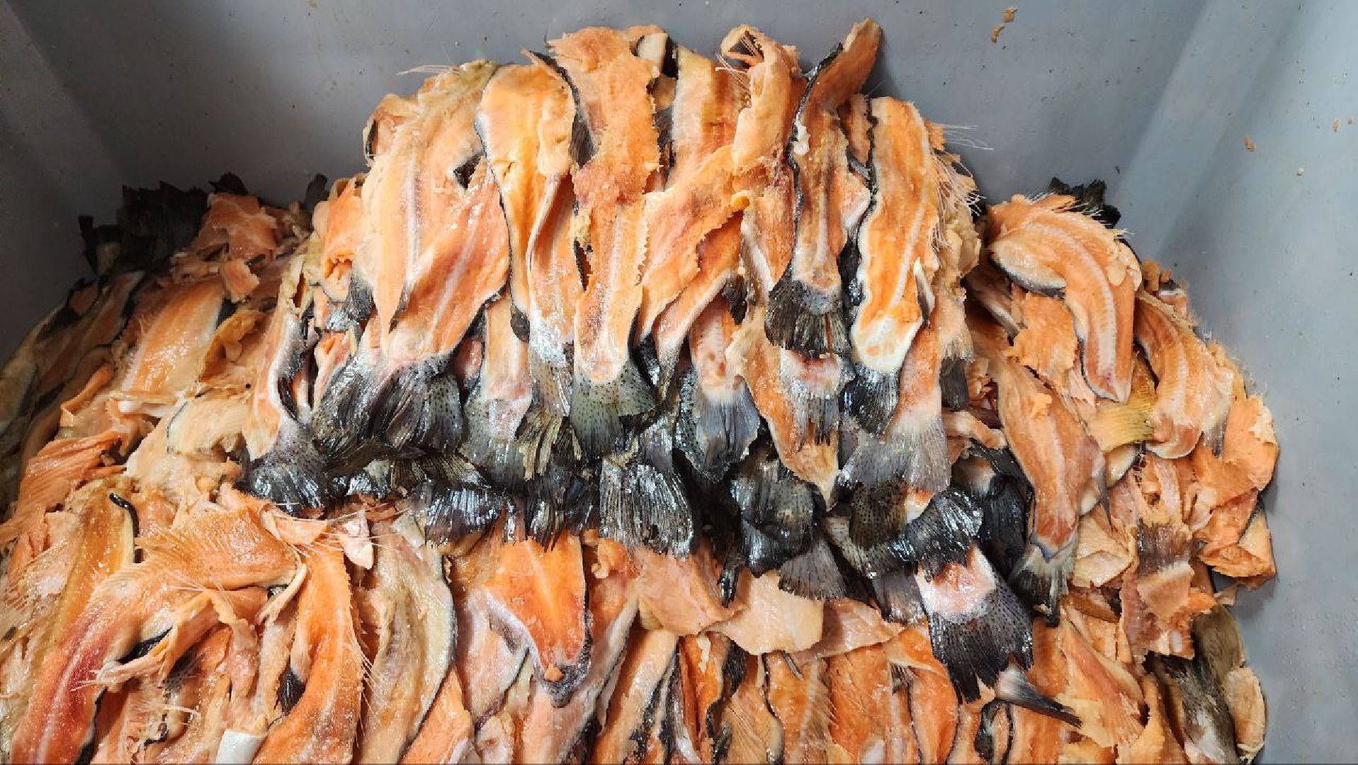 Дмитров, Фуд Тим, Мининвест, Фонд поддержки внешнеэкономической деятельности,