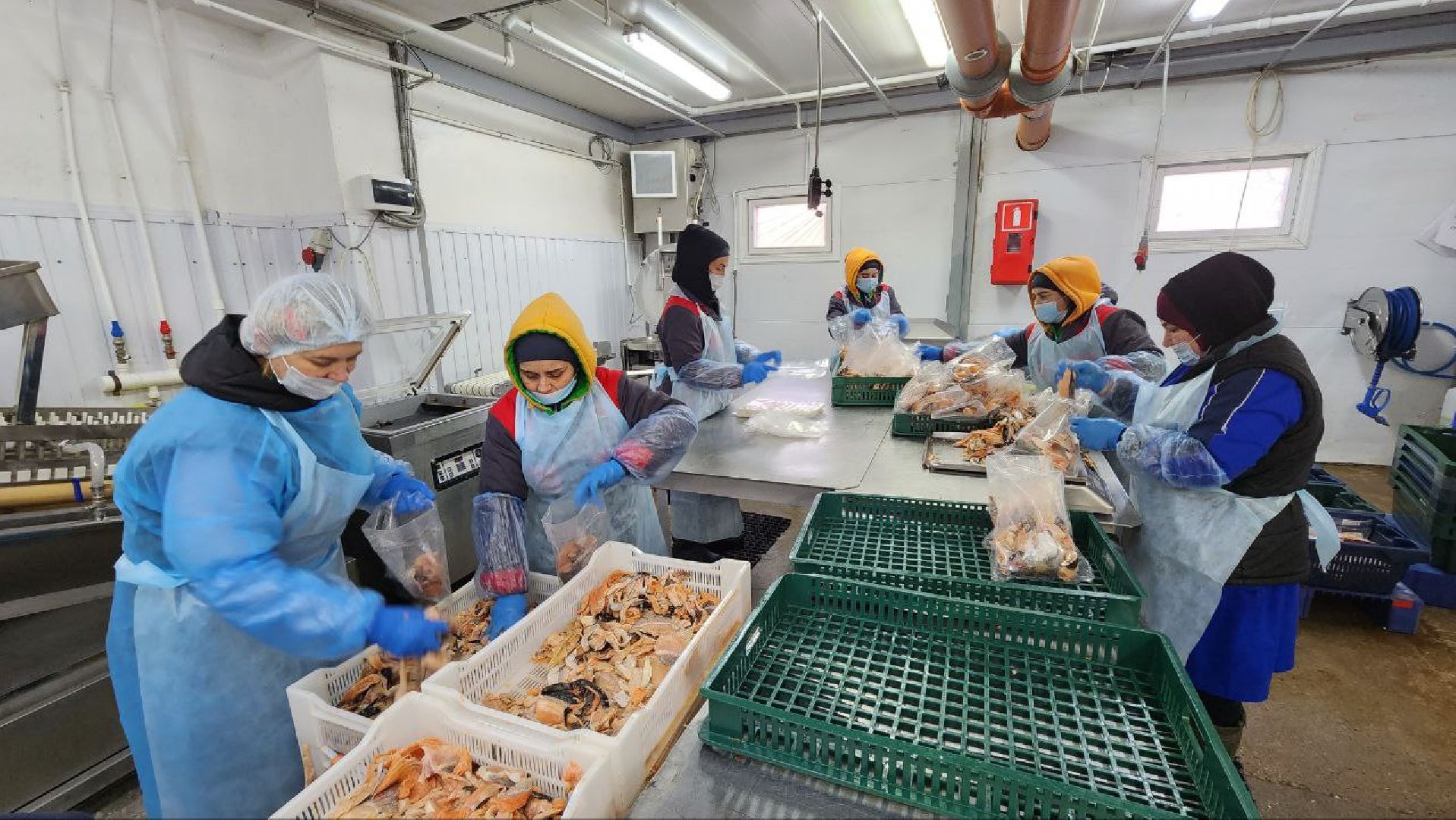 Дмитров, Фуд Тим, Мининвест, Фонд поддержки внешнеэкономической деятельности,