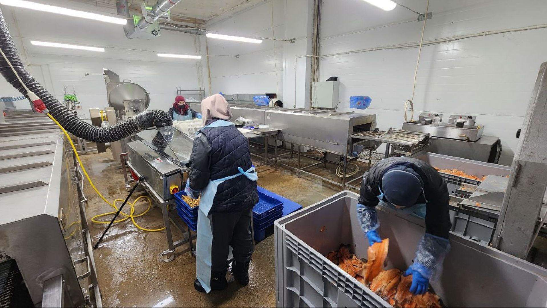 Дмитров, Фуд Тим, Мининвест, Фонд поддержки внешнеэкономической деятельности,