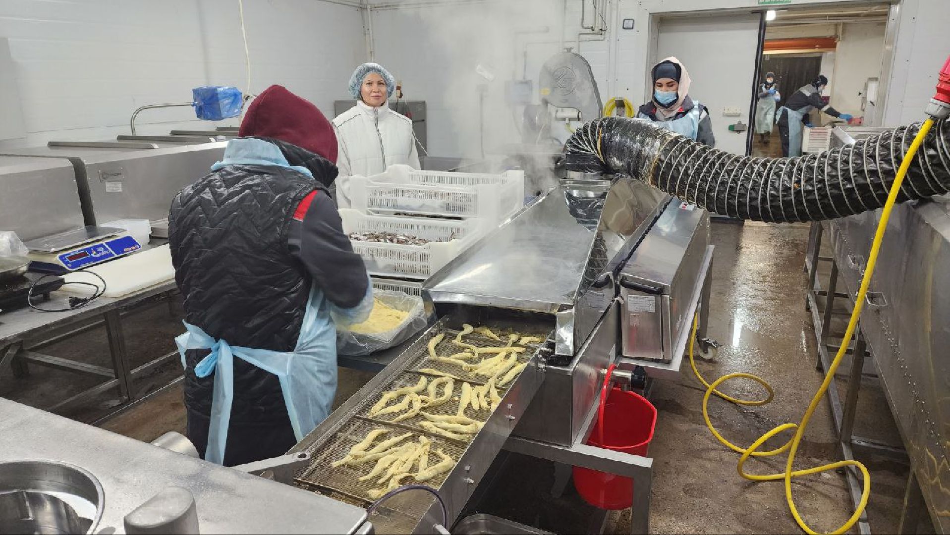 Дмитров, Фуд Тим, Мининвест, Фонд поддержки внешнеэкономической деятельности,