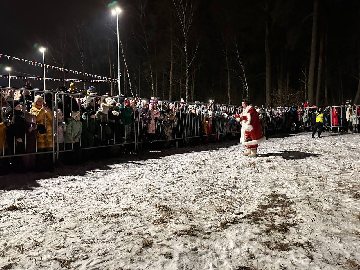 вертикакли,масленица, домодедедово,