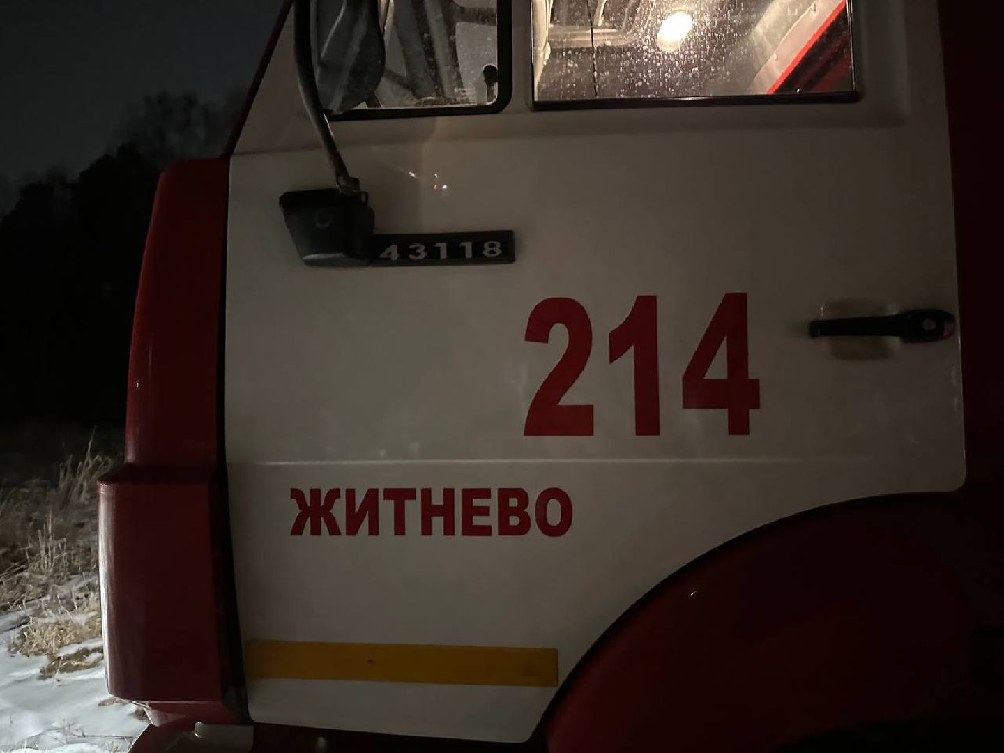 вертикакли,масленица, домодедедово,