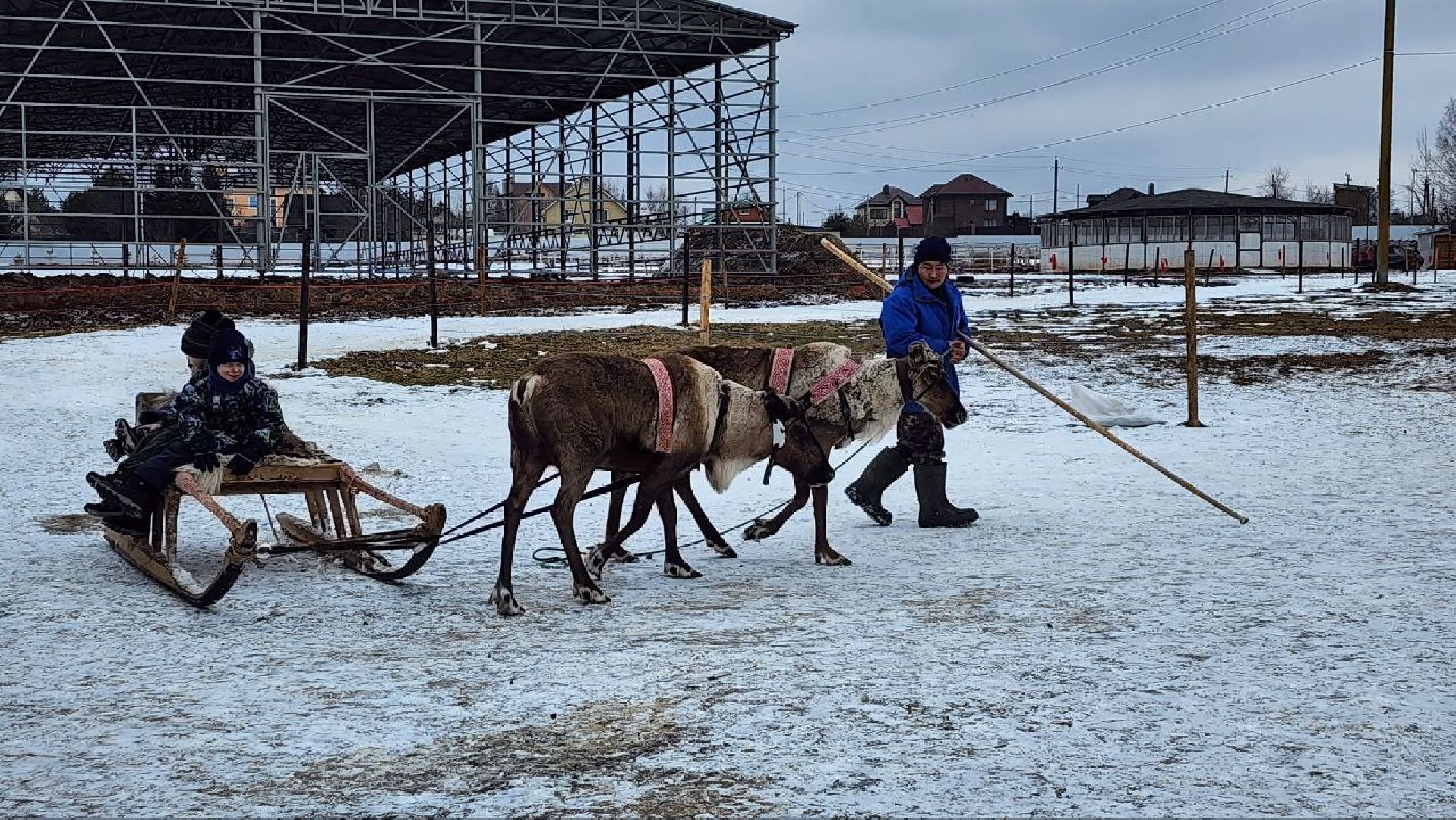 Дмитров, Проводы зимы, Масленица, Зооферма Шихово, вертикалки,