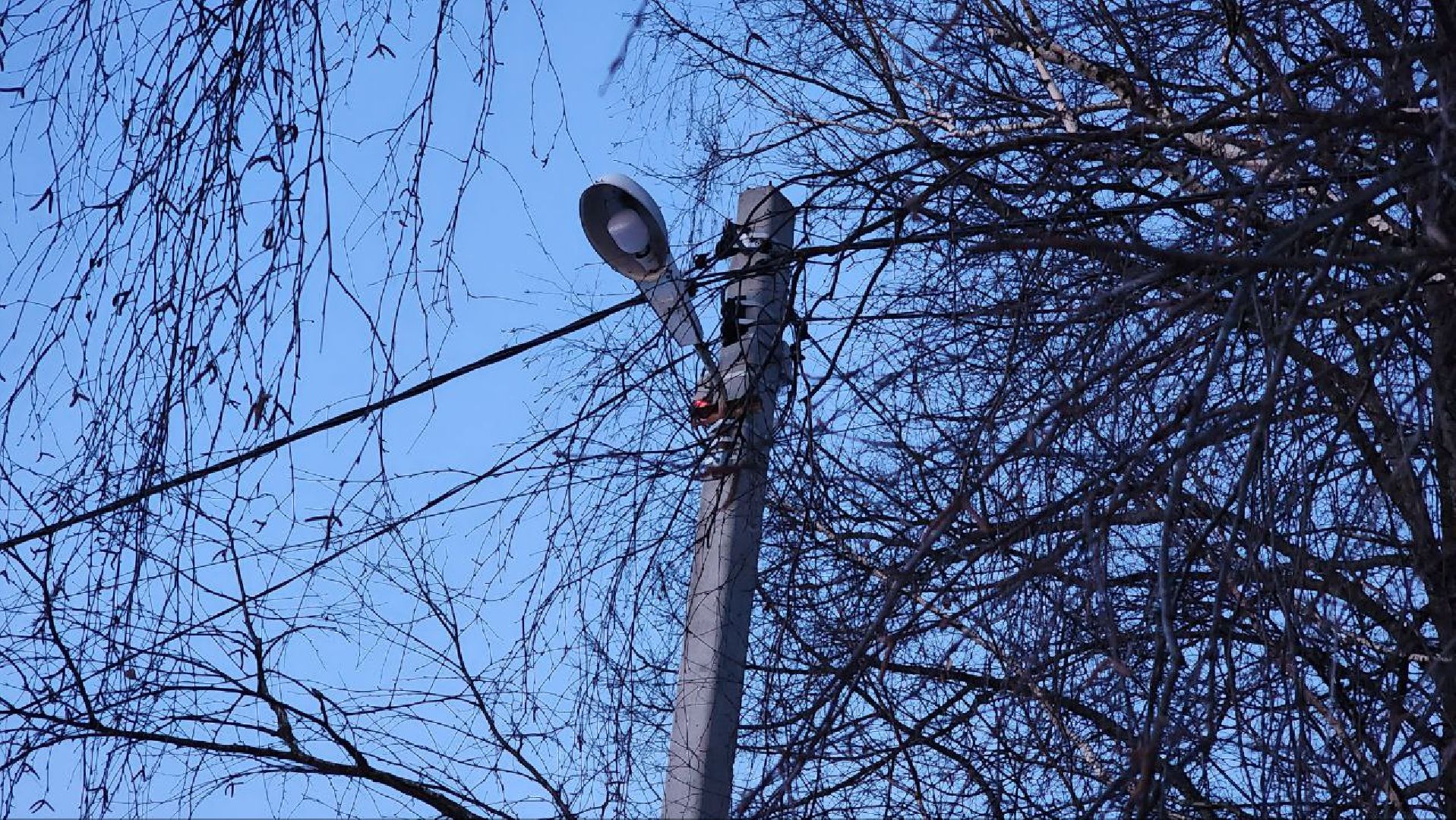 Дмитров, Выездная администрация, Новое Гришино, Минблаго, вертикалки,