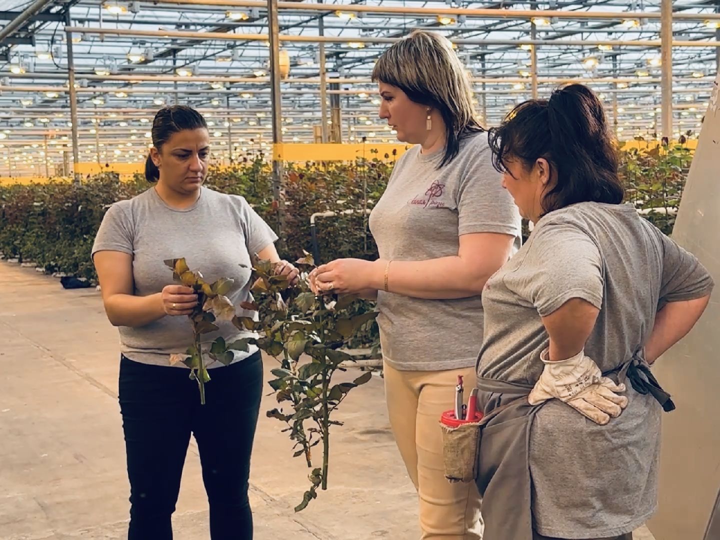 раменское, тепличный комплекс, портрет, 8 марта,