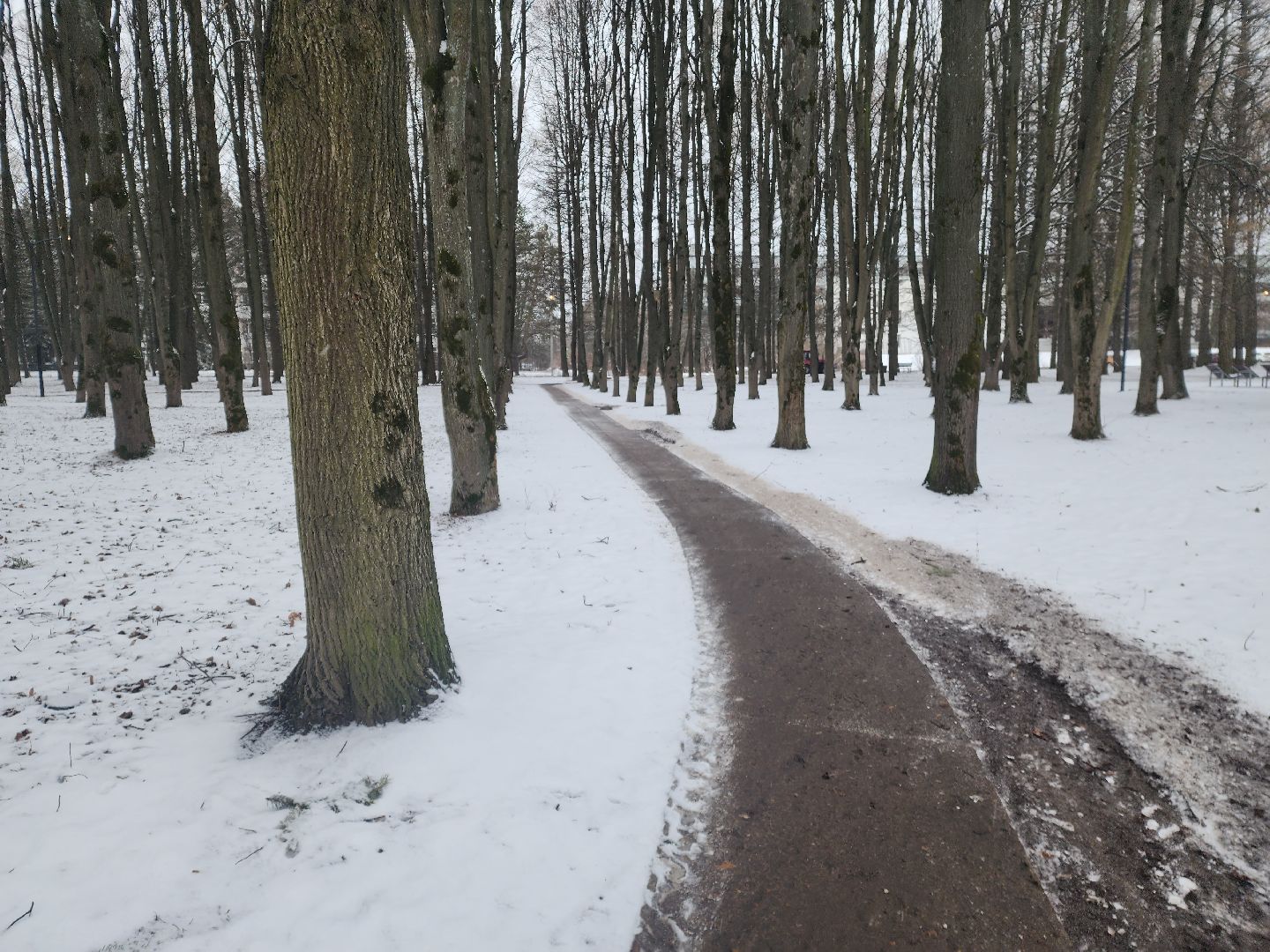 пущино, серпухов, уборка, вертикалки,
