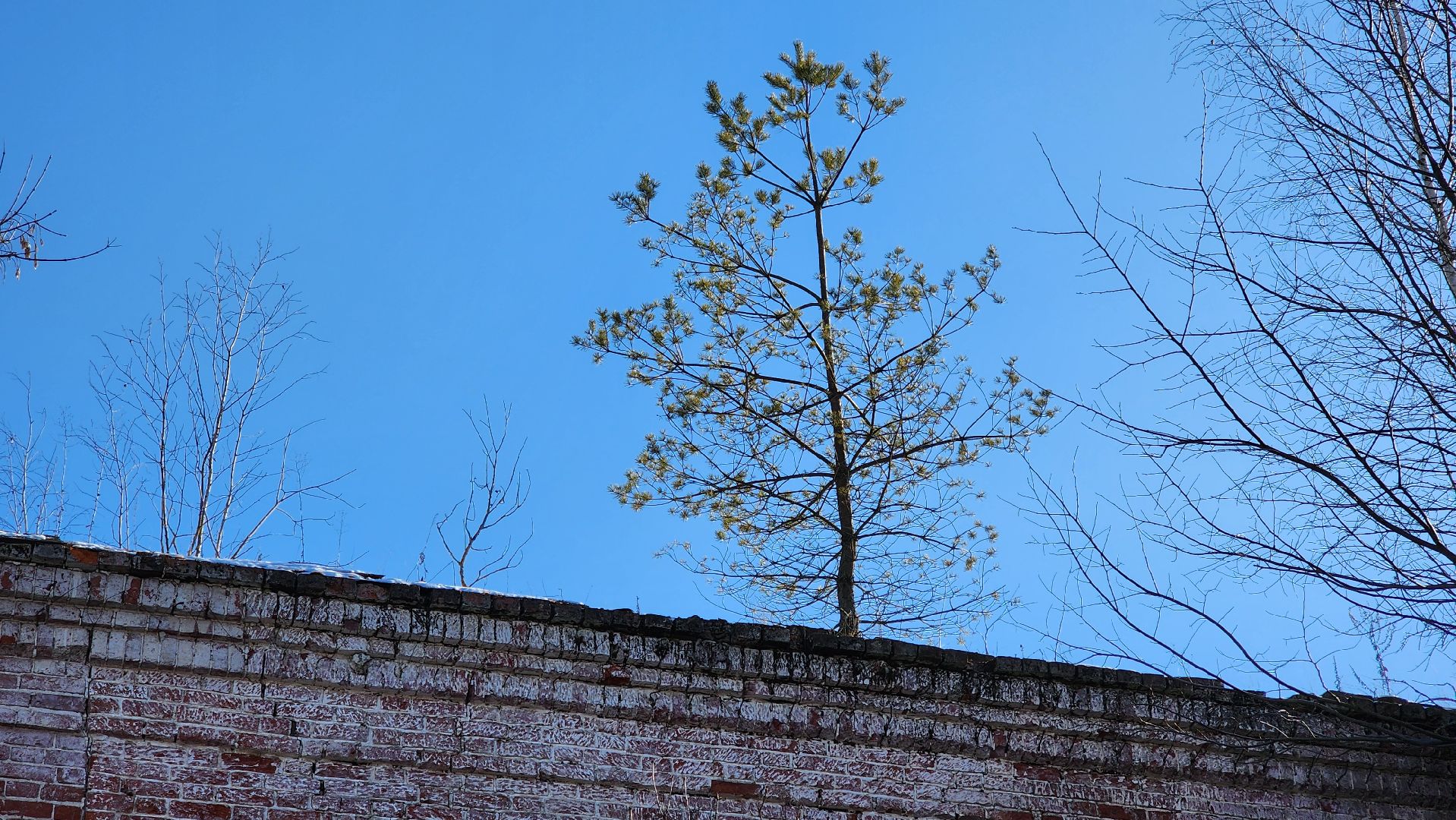 ступино, история, образование,