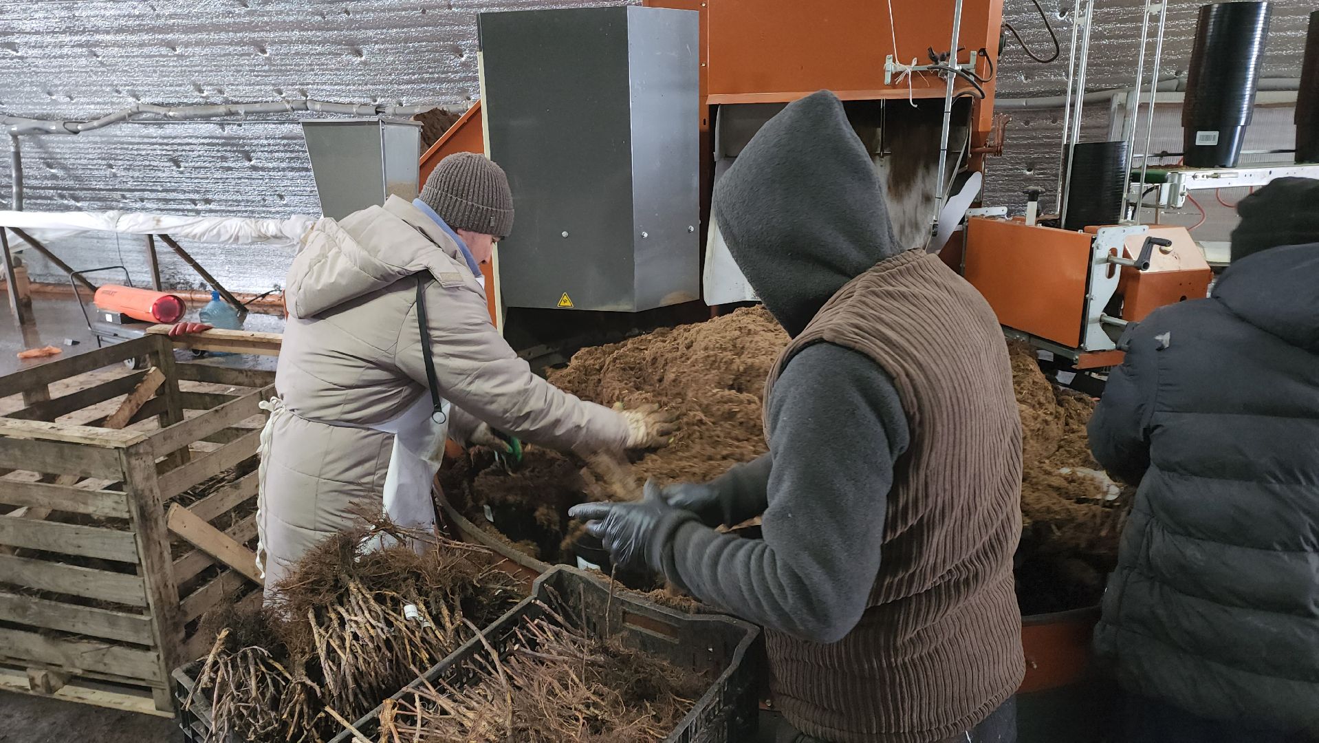 кашира, экономика, питомник растений, посадка кустарников, благотворительность, озеленение, вертикалки,