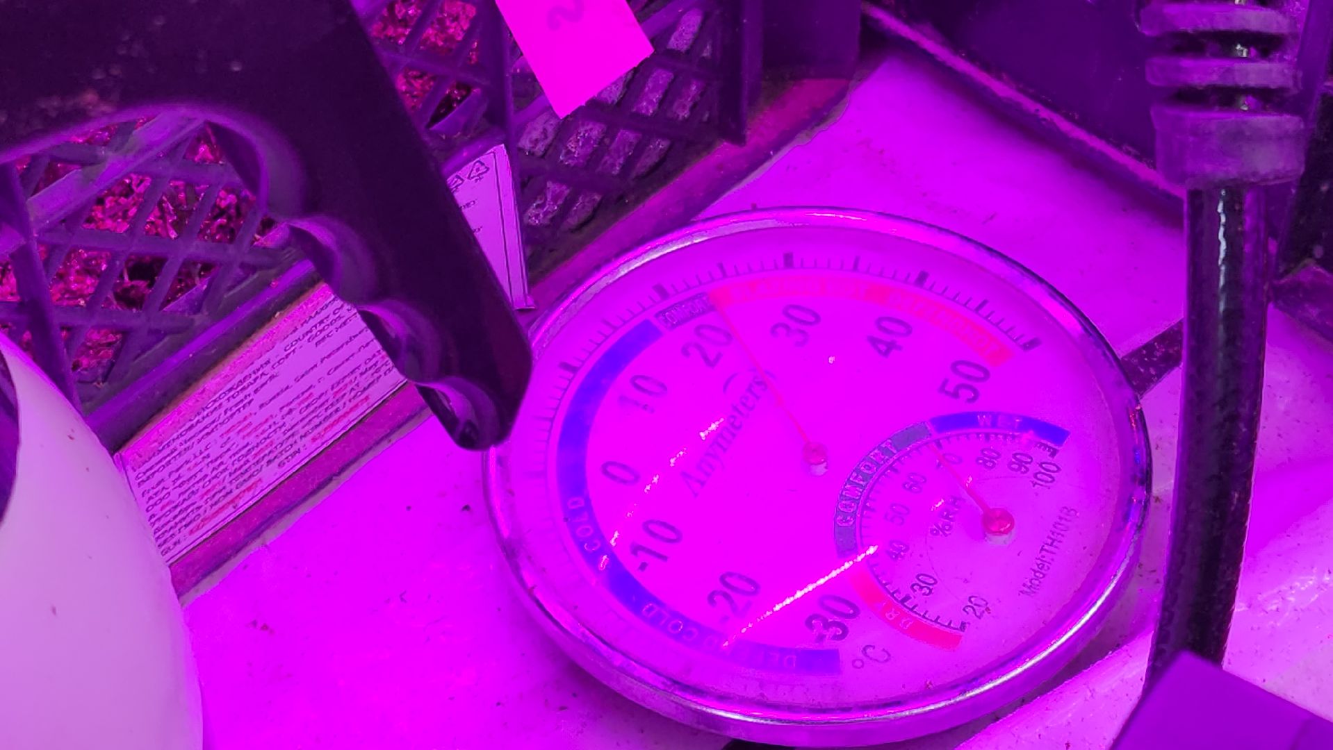 кашира, экономика, питомник растений, посадка кустарников, благотворительность, озеленение, вертикалки,