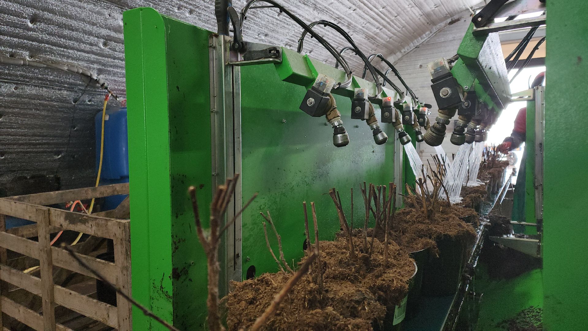 кашира, экономика, питомник растений, посадка кустарников, благотворительность, озеленение, вертикалки,