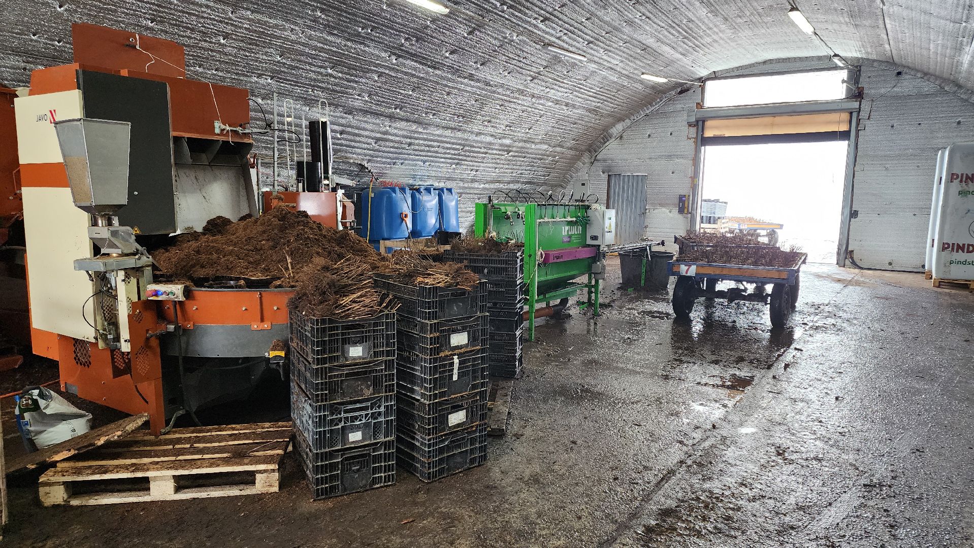 кашира, экономика, питомник растений, посадка кустарников, благотворительность, озеленение, вертикалки,