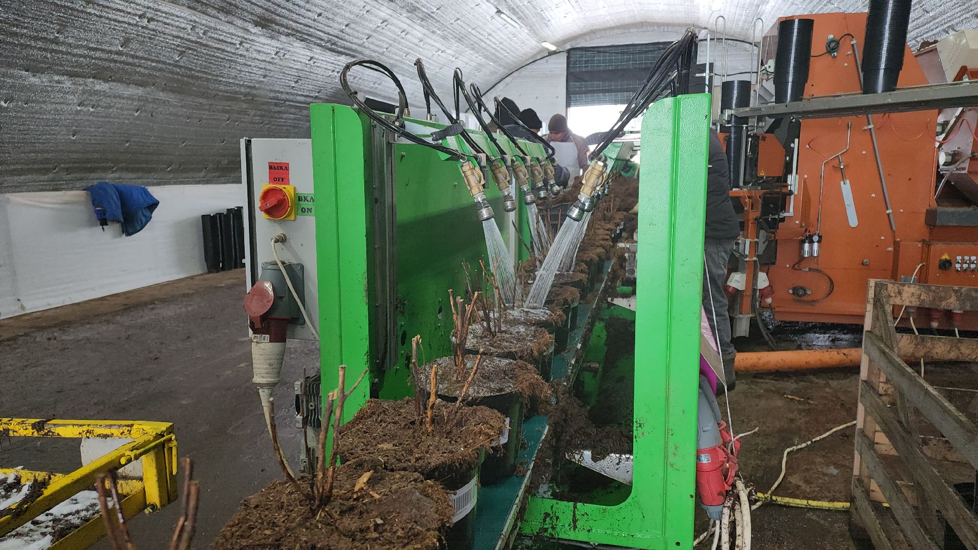 кашира, экономика, питомник растений, посадка кустарников, благотворительность, озеленение, вертикалки,