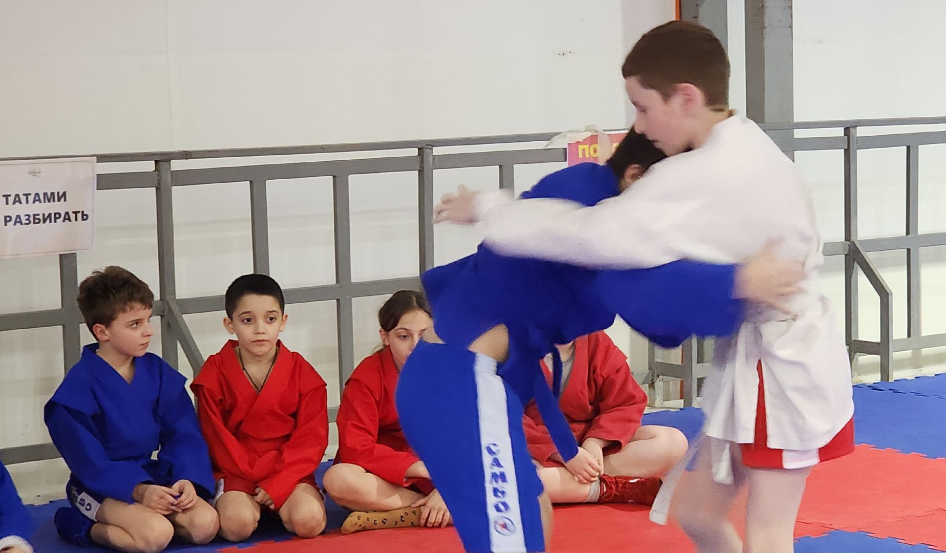 спорт, общество, бесплатные занятия,