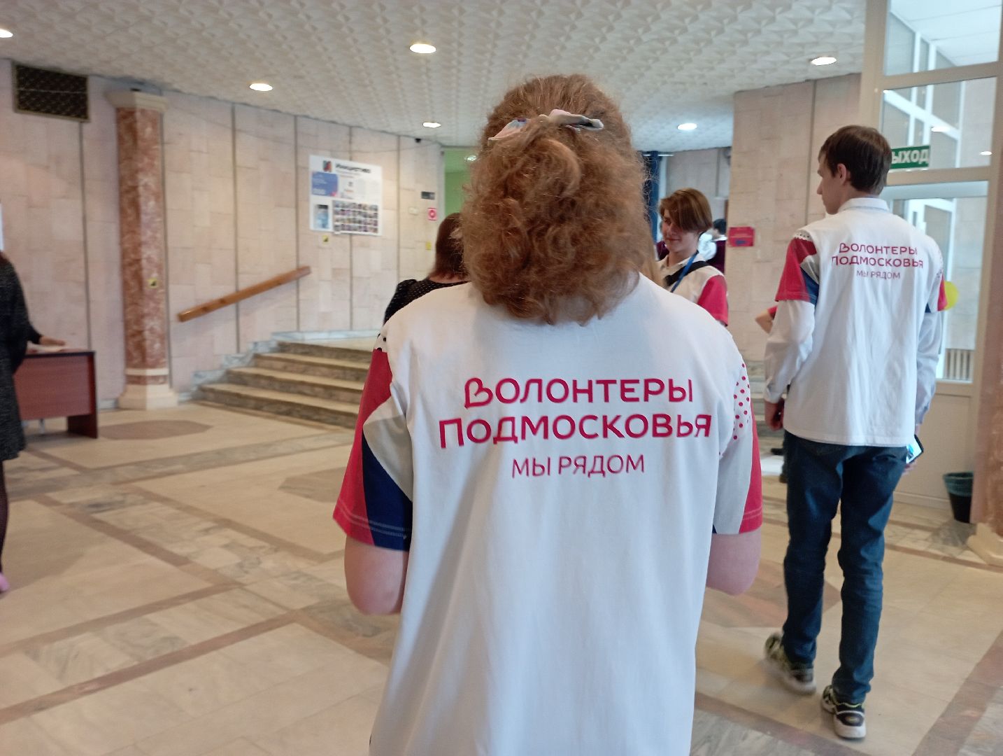 волонтеры Подмосковья, благоустройство, голосование, нацпроект, Дубна