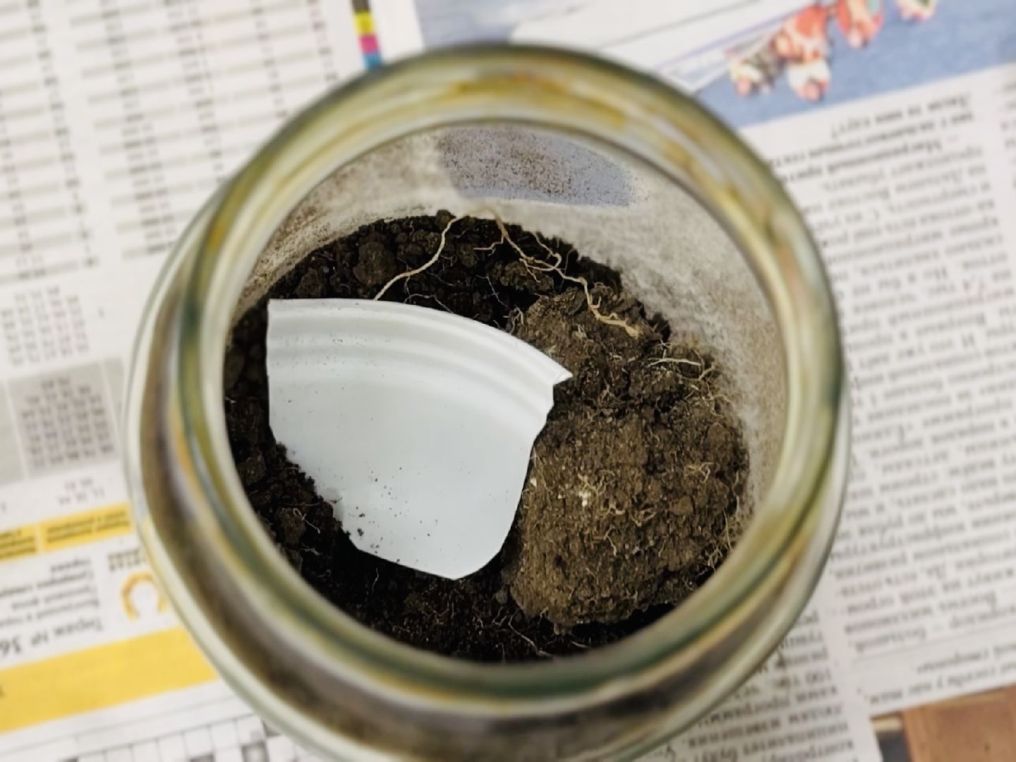 раменское, экология, портрет, 8 марта,