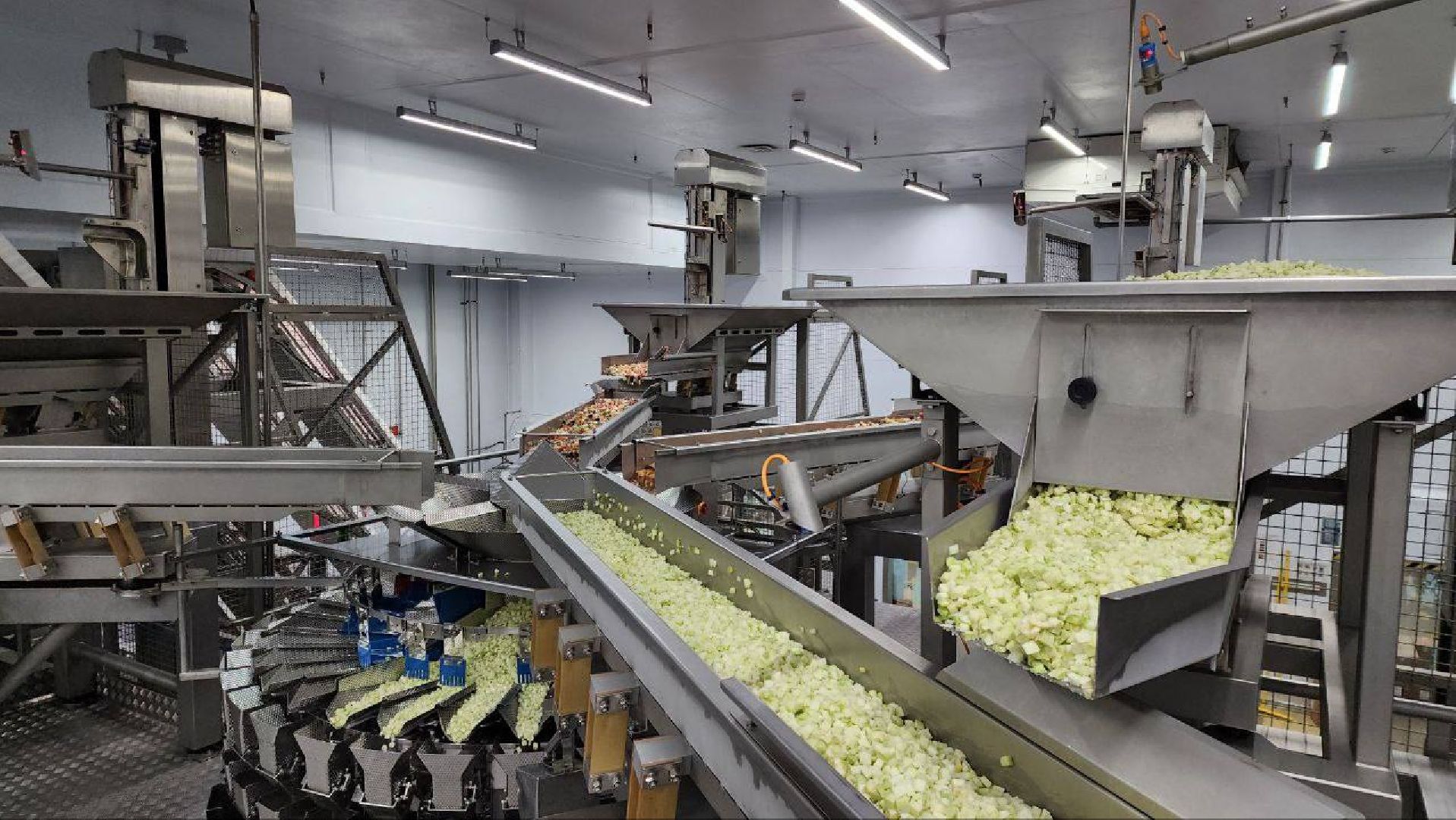 великий пост, овощи, домодедедово,