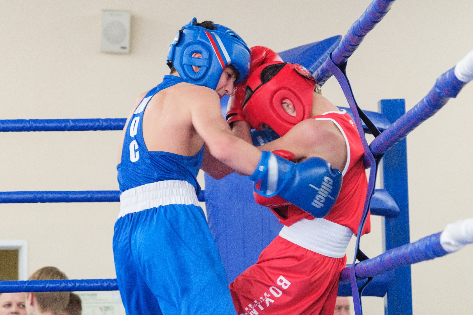 спорт, лыткарино, бокс, лебзяк, олимпийские чемпионы, вертикалки,