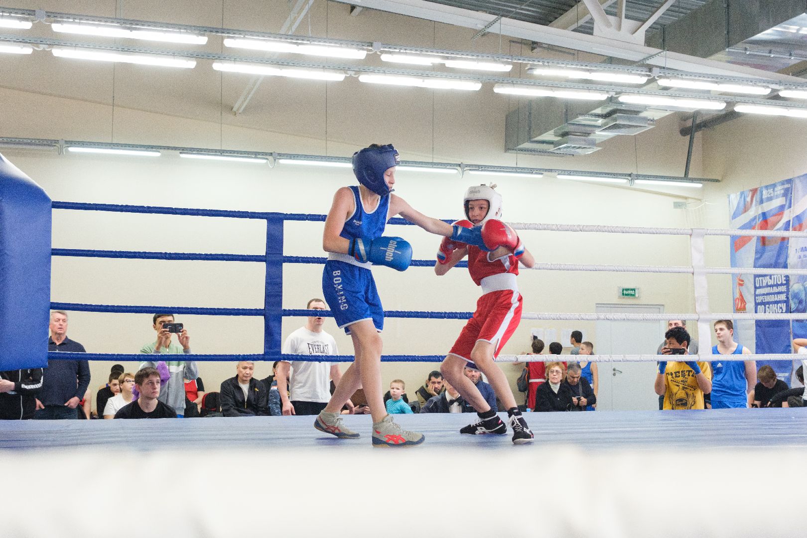 спорт, лыткарино, бокс, лебзяк, олимпийские чемпионы, вертикалки,