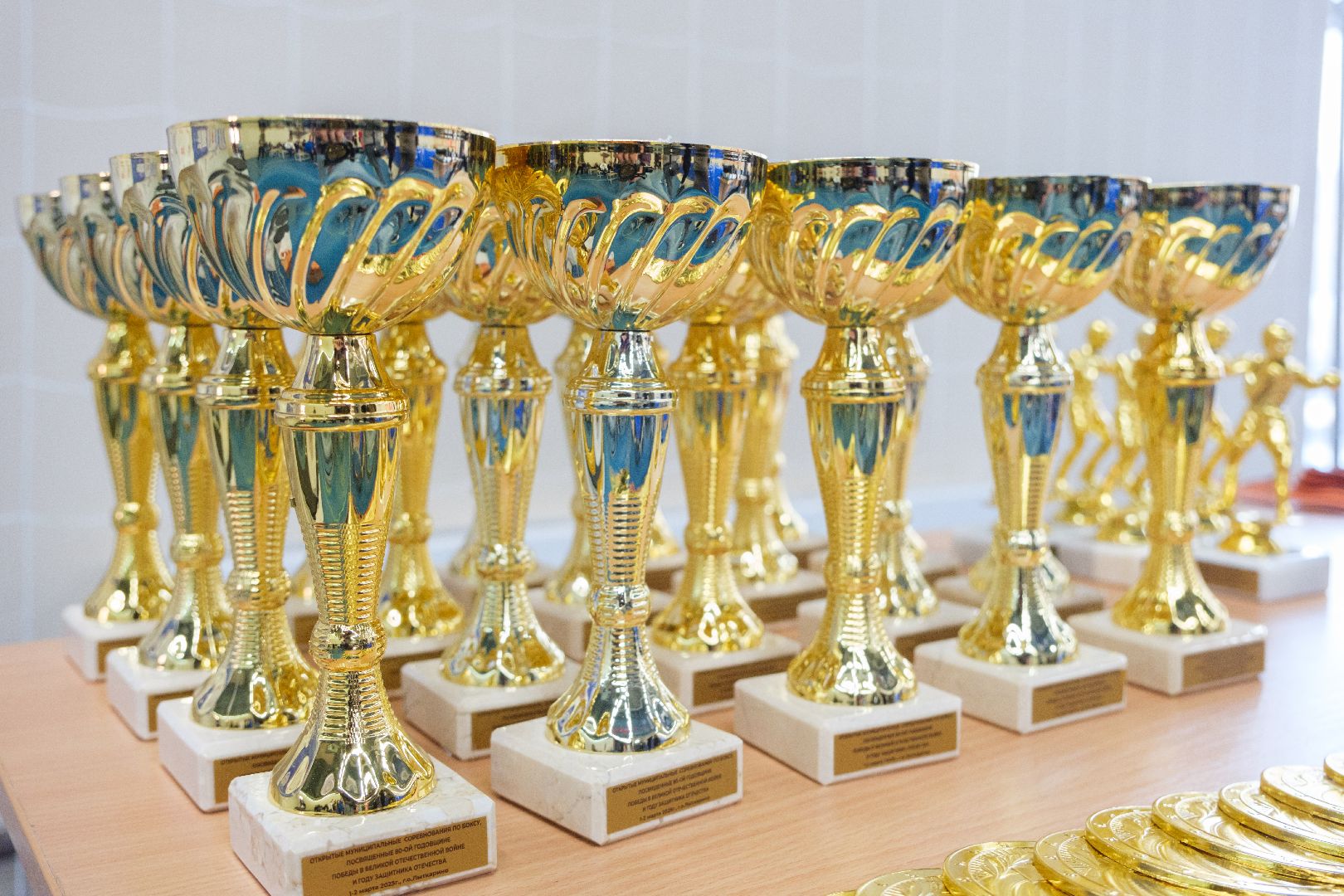 спорт, лыткарино, бокс, лебзяк, олимпийские чемпионы, вертикалки,