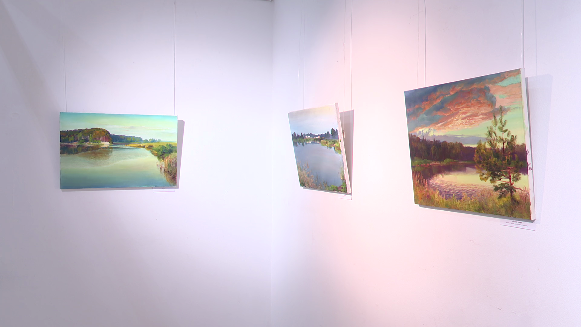 реутов, вертикалки, культура, выставка, музей, Владислава Гарбузова,