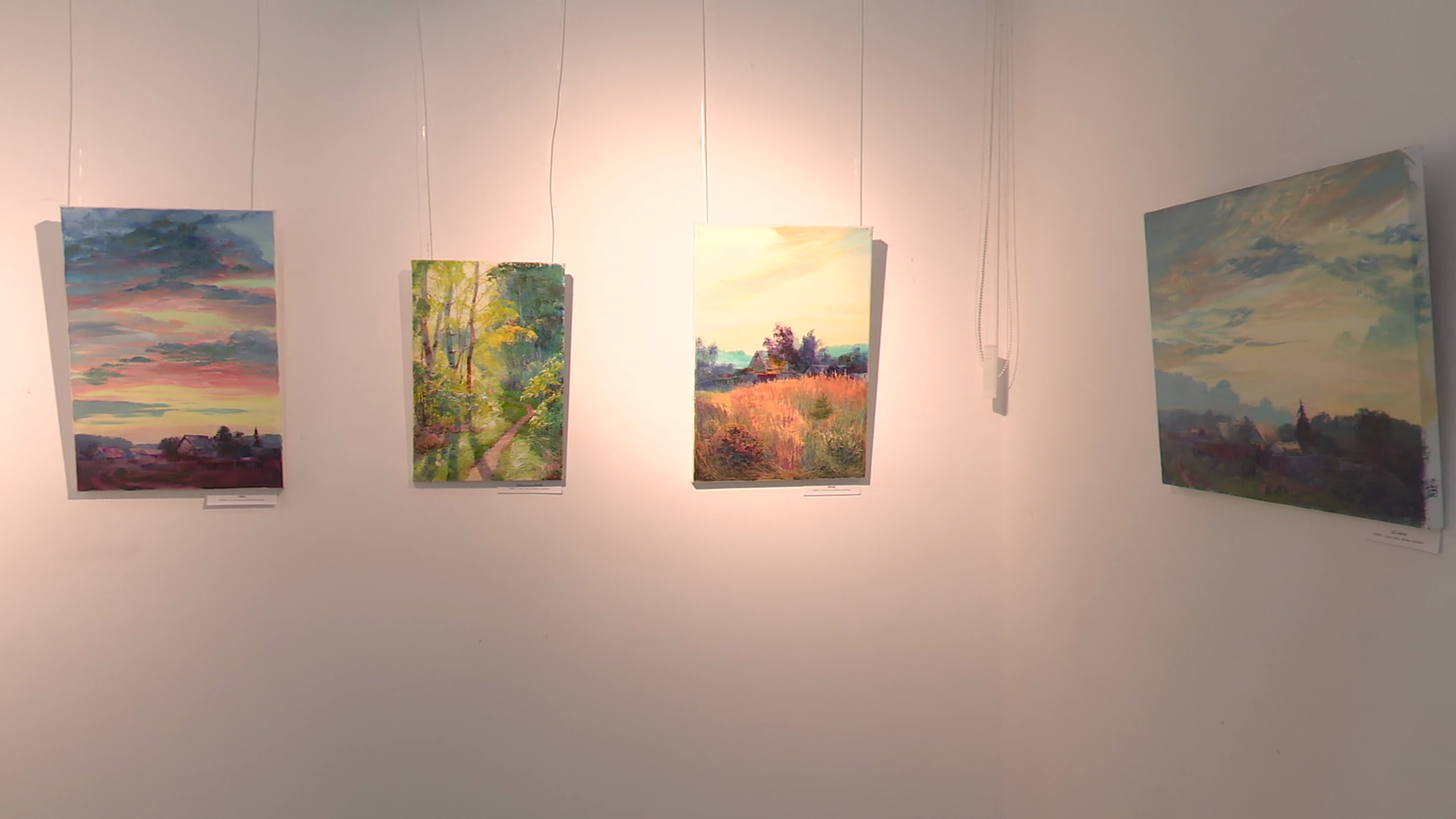 реутов, вертикалки, культура, выставка, музей, Владислава Гарбузова,