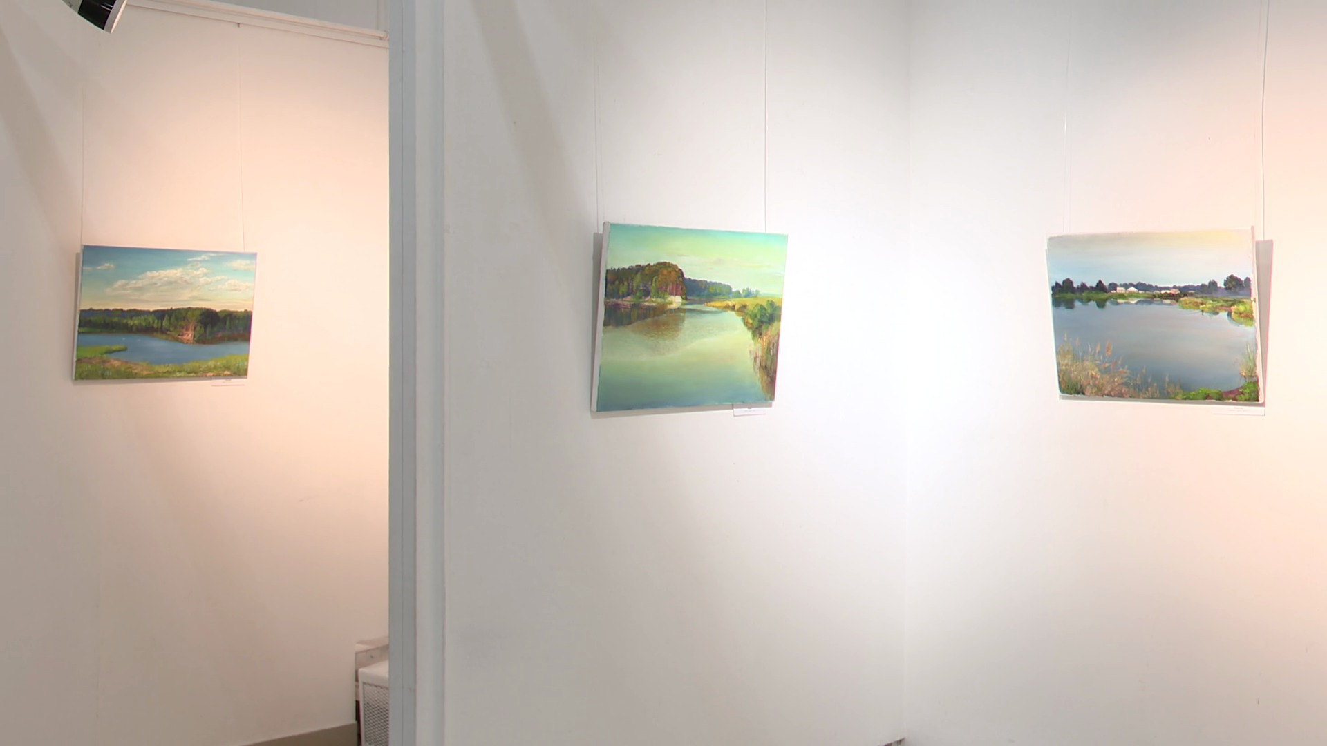 реутов, вертикалки, культура, выставка, музей, Владислава Гарбузова,