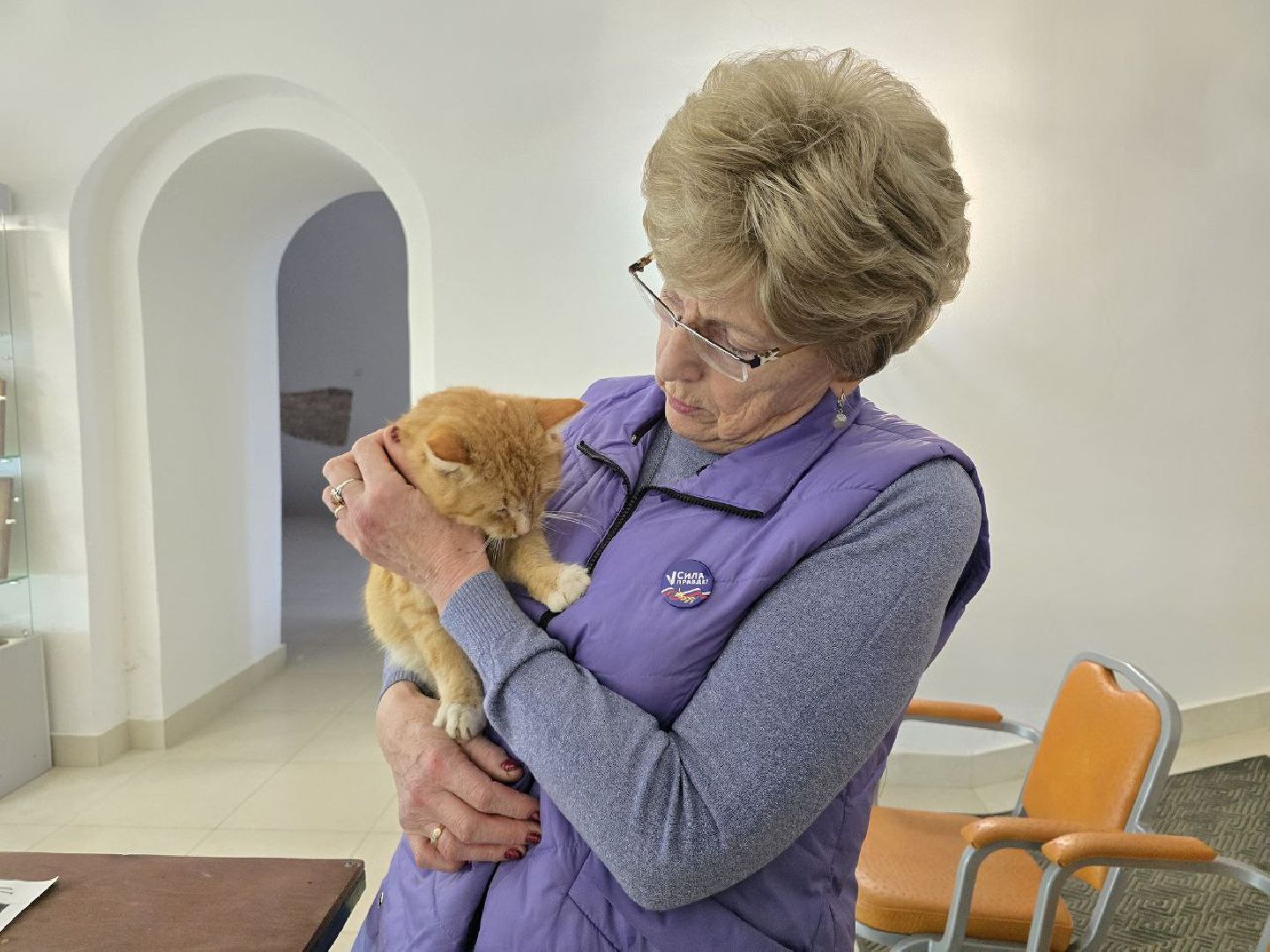 можайск, можайский муниципальный округ, подмосковье, ново-никольский собор, хвостатый хранитель, конкурс, министерство культуры рф, кот,