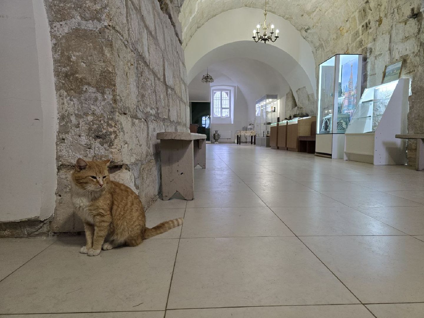можайск, можайский муниципальный округ, подмосковье, ново-никольский собор, хвостатый хранитель, конкурс, министерство культуры рф, кот,