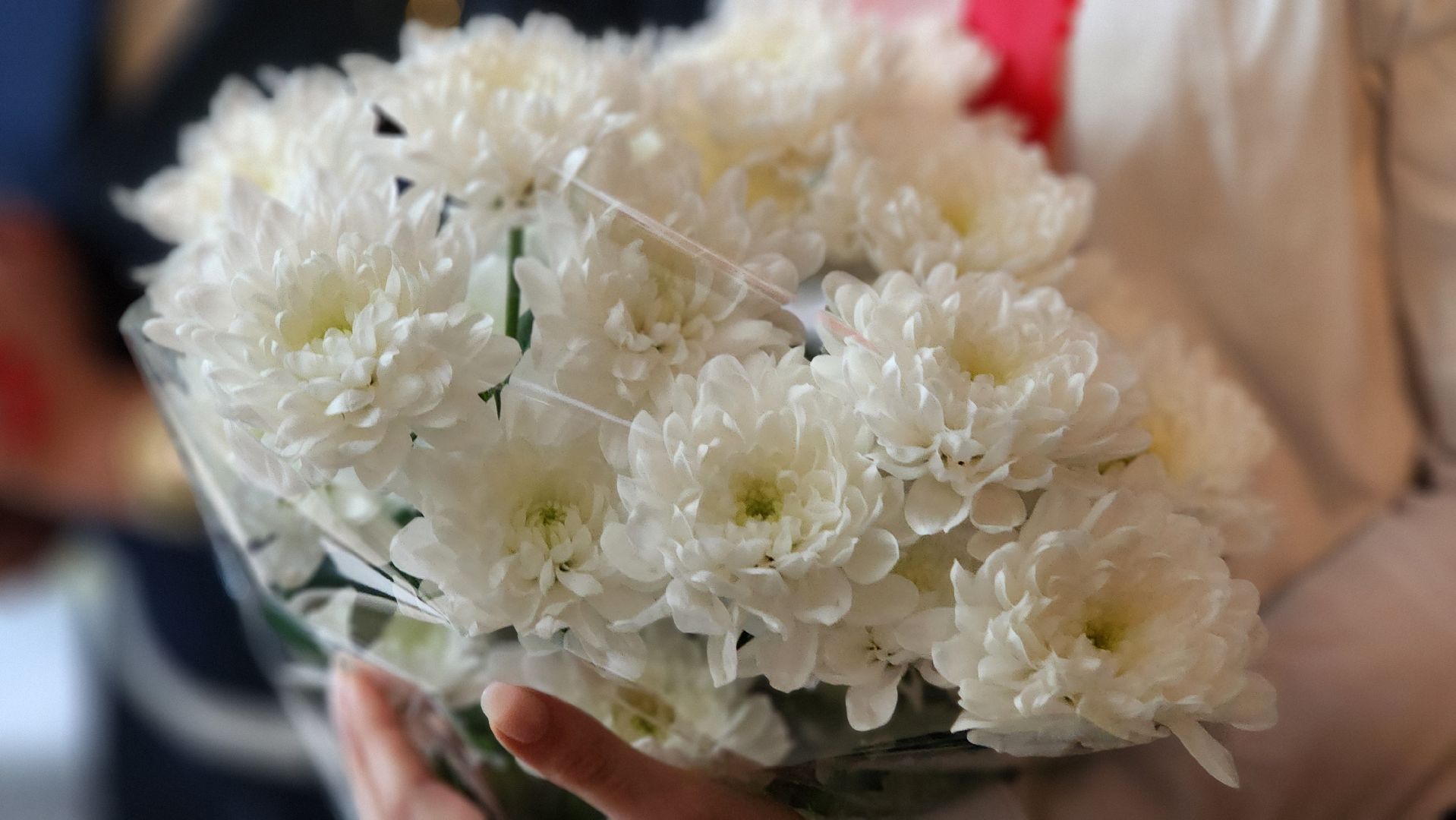 блокада ленинграда, День Победы, 8 марта, Волонтеры, нестеровский лицей,